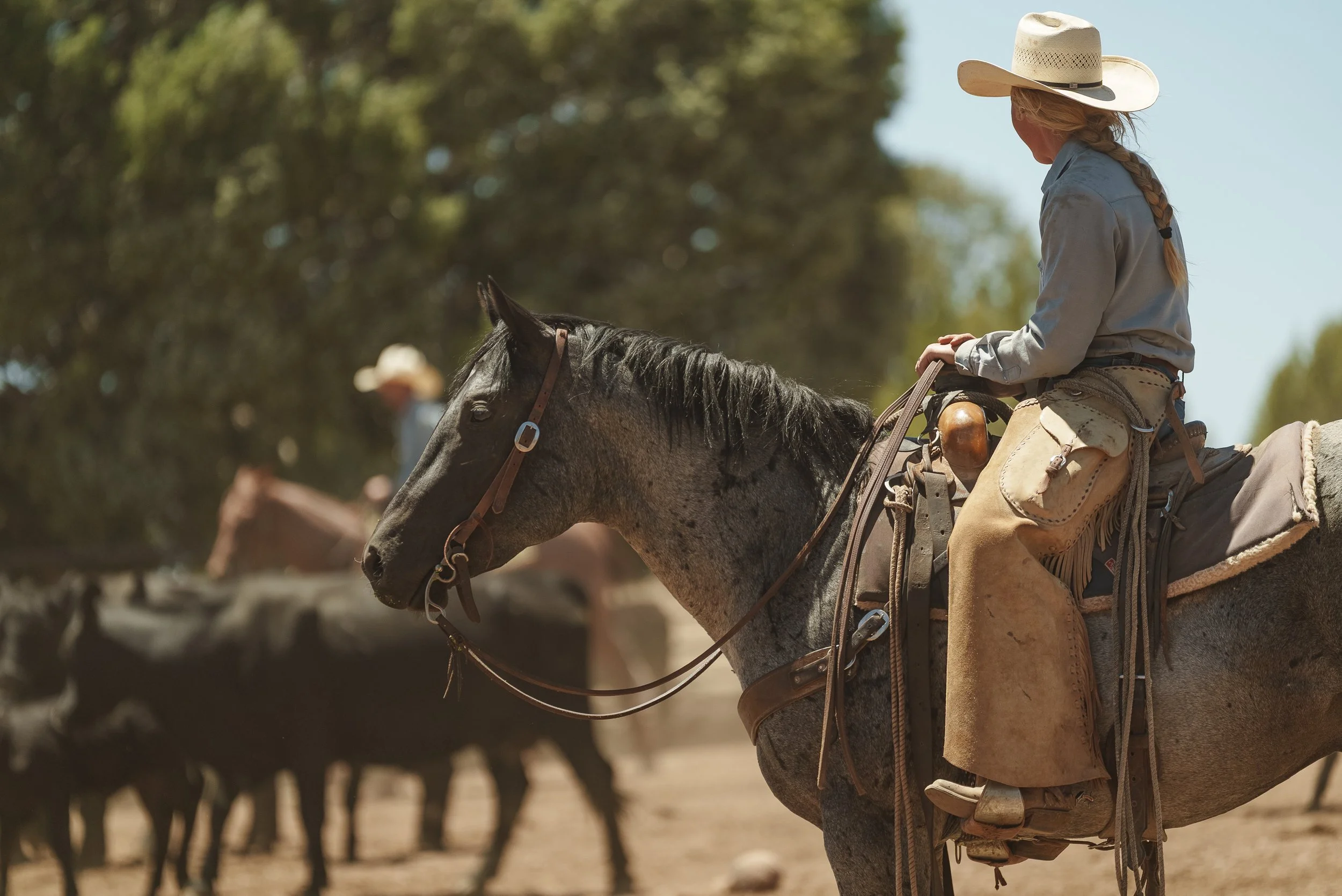 A woman wearing a black cowboy hat, sunglasses, and a plaid shirt holding a green rope leash attached to a gray and white spotted horse, outdoors with a fence, trees, and blue sky in the background.