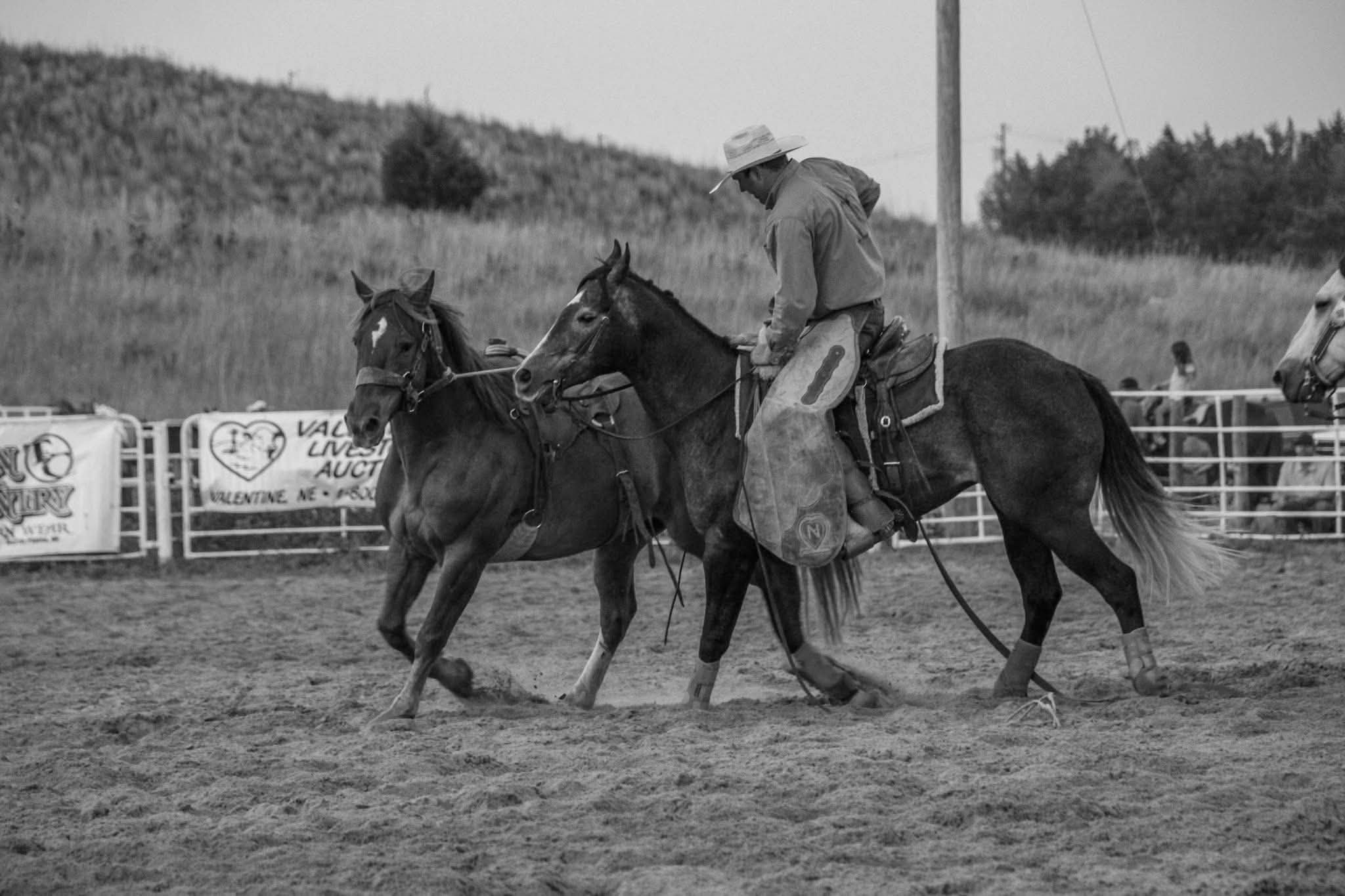 Man on horseback in a cattle pasture, holding a coiled rope, with cows grazing in the background.