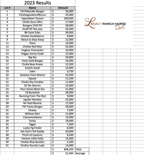 Legacy Ranch Horse Sale