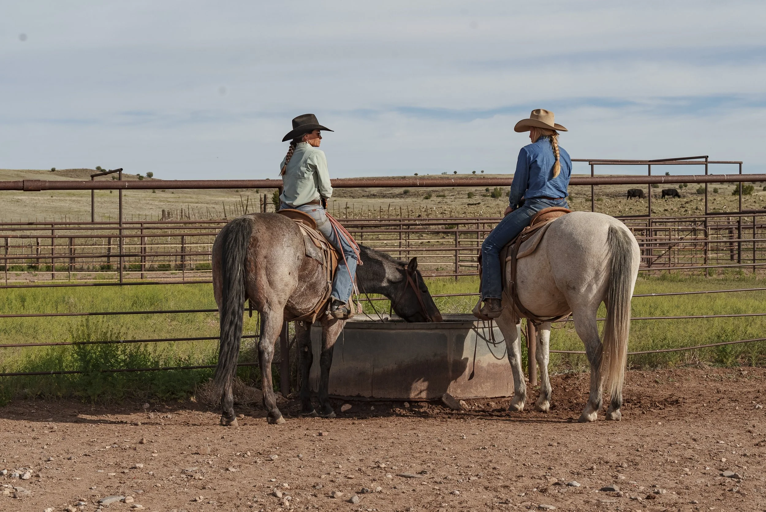 Woman riding a horse through a wetlands area during daylight, wearing a cowboy hat and casual clothing.