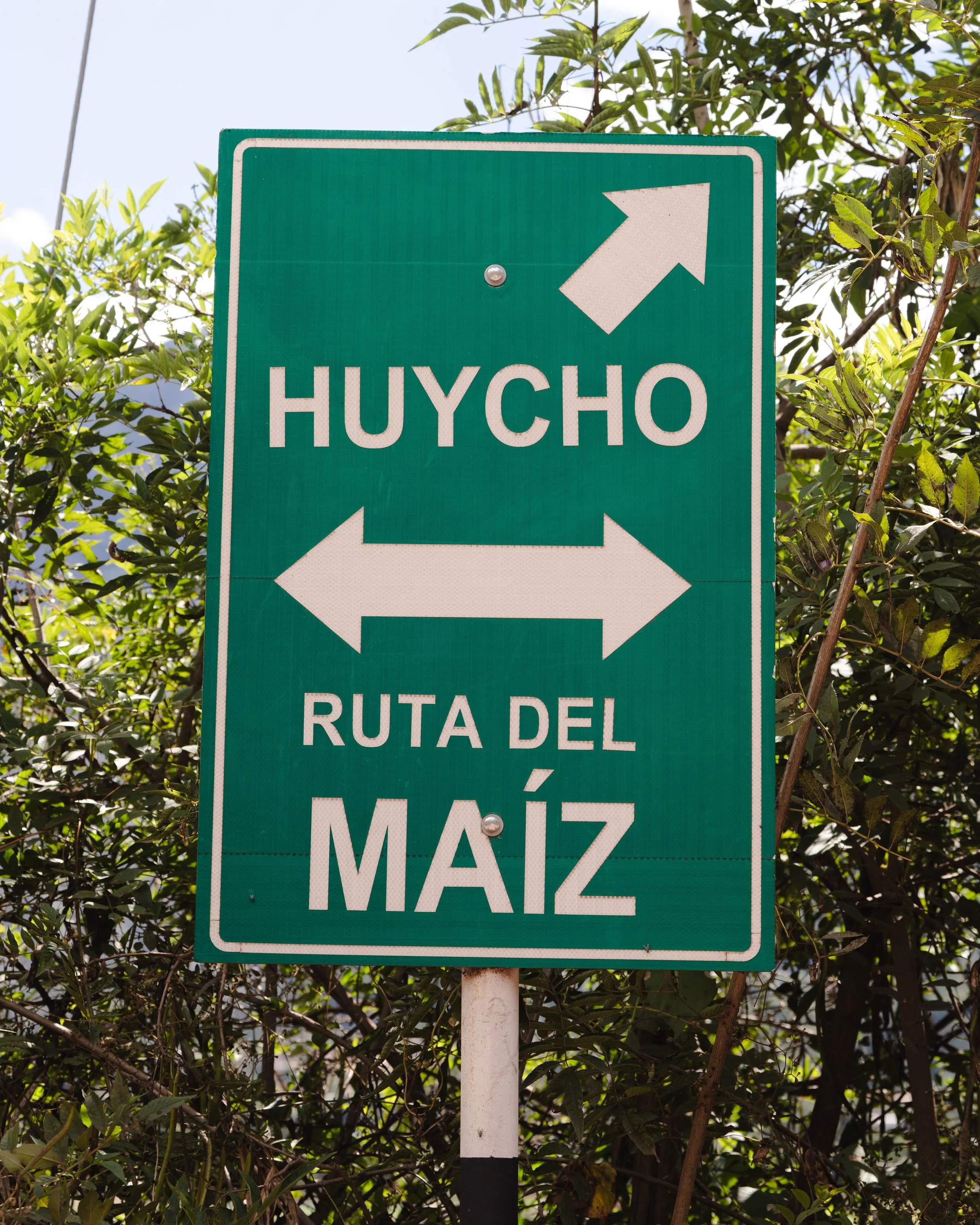 DSC03437-7.jpg