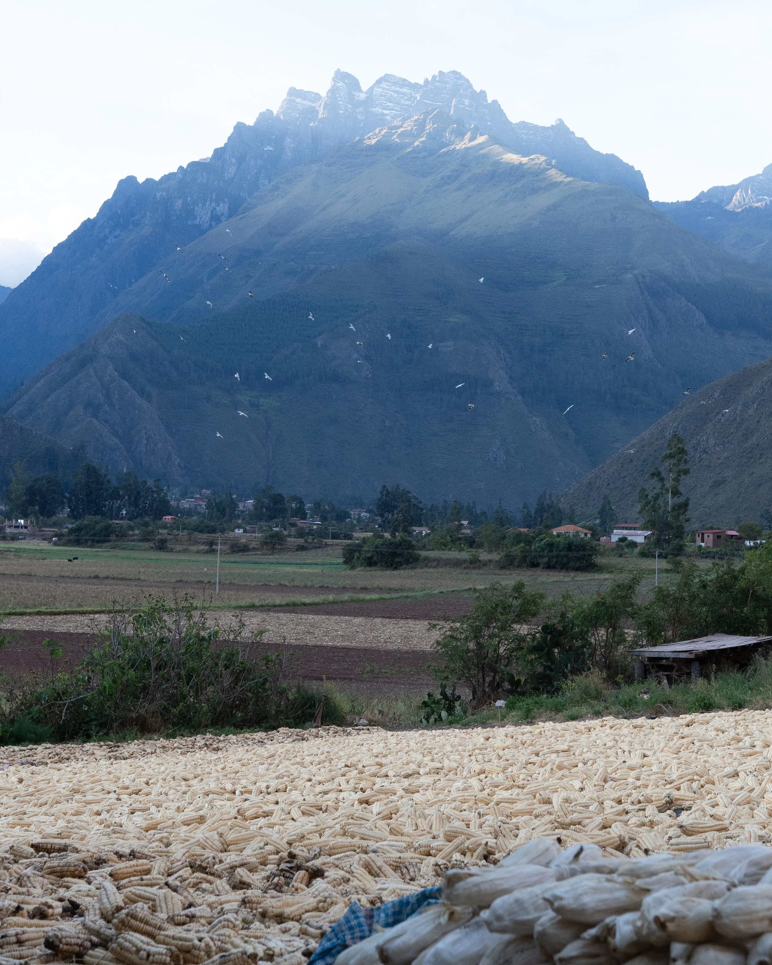 DSC09950-13.jpg