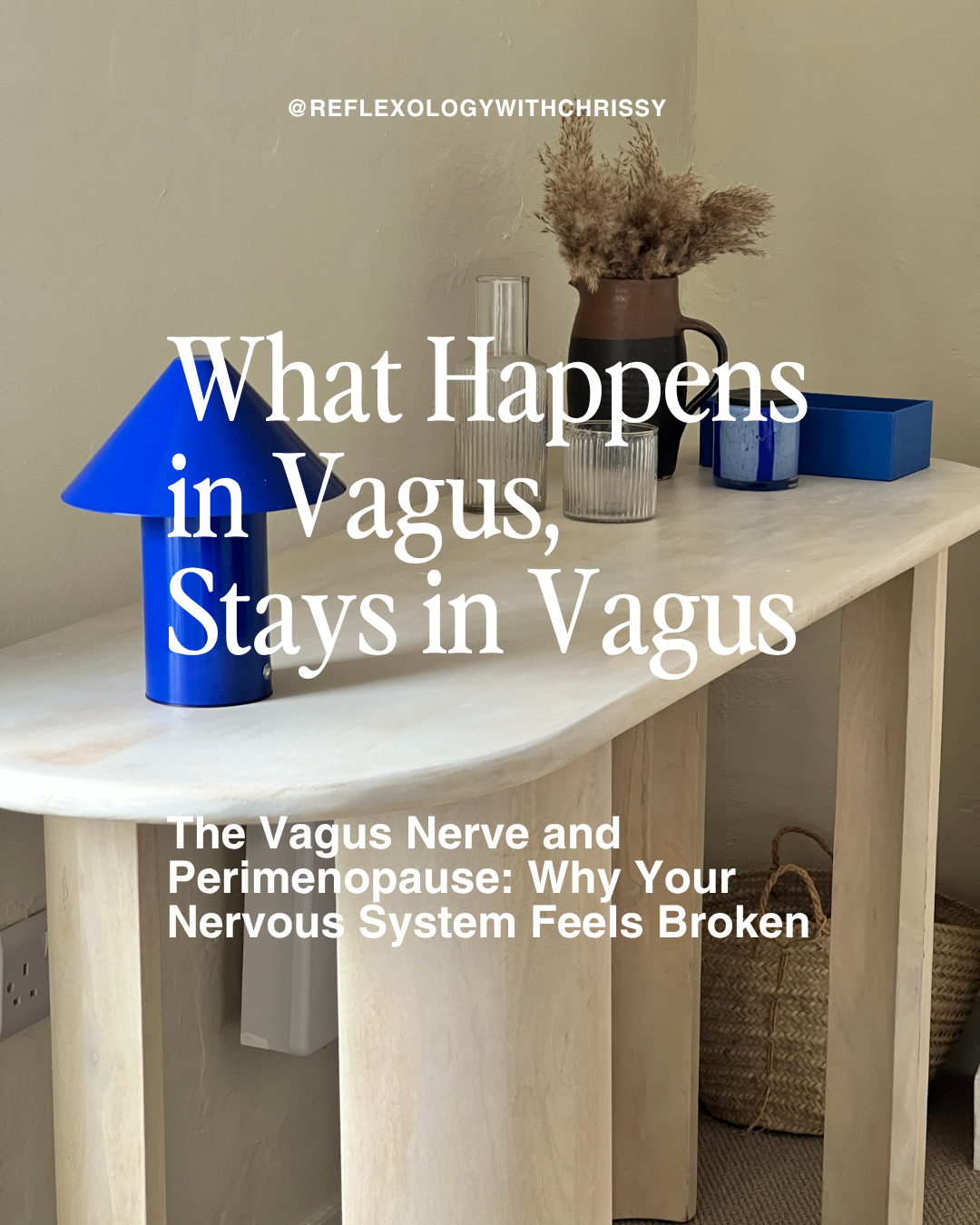 The Vagus Nerve: The “Gut Brain”