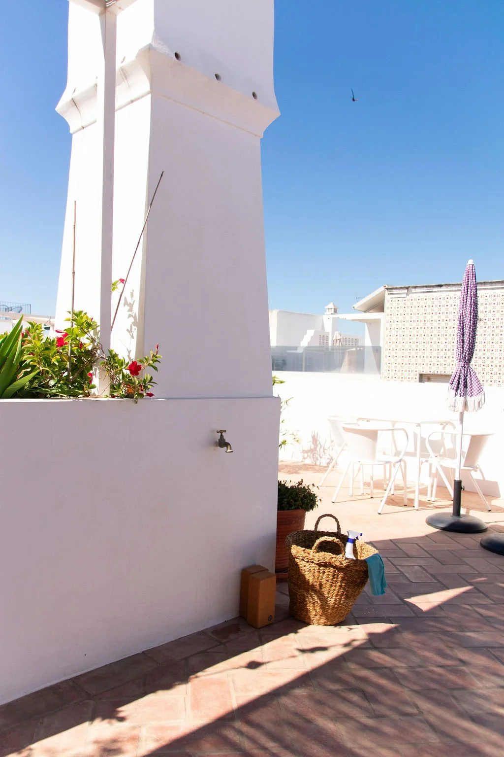 196.JPG
