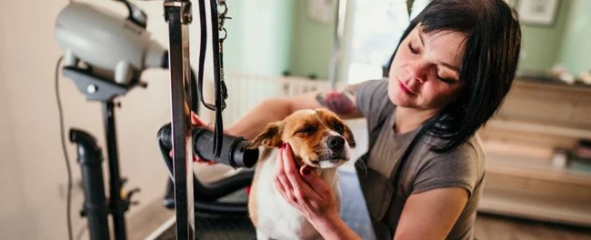 Retirement Security Matters: February 19, 2026