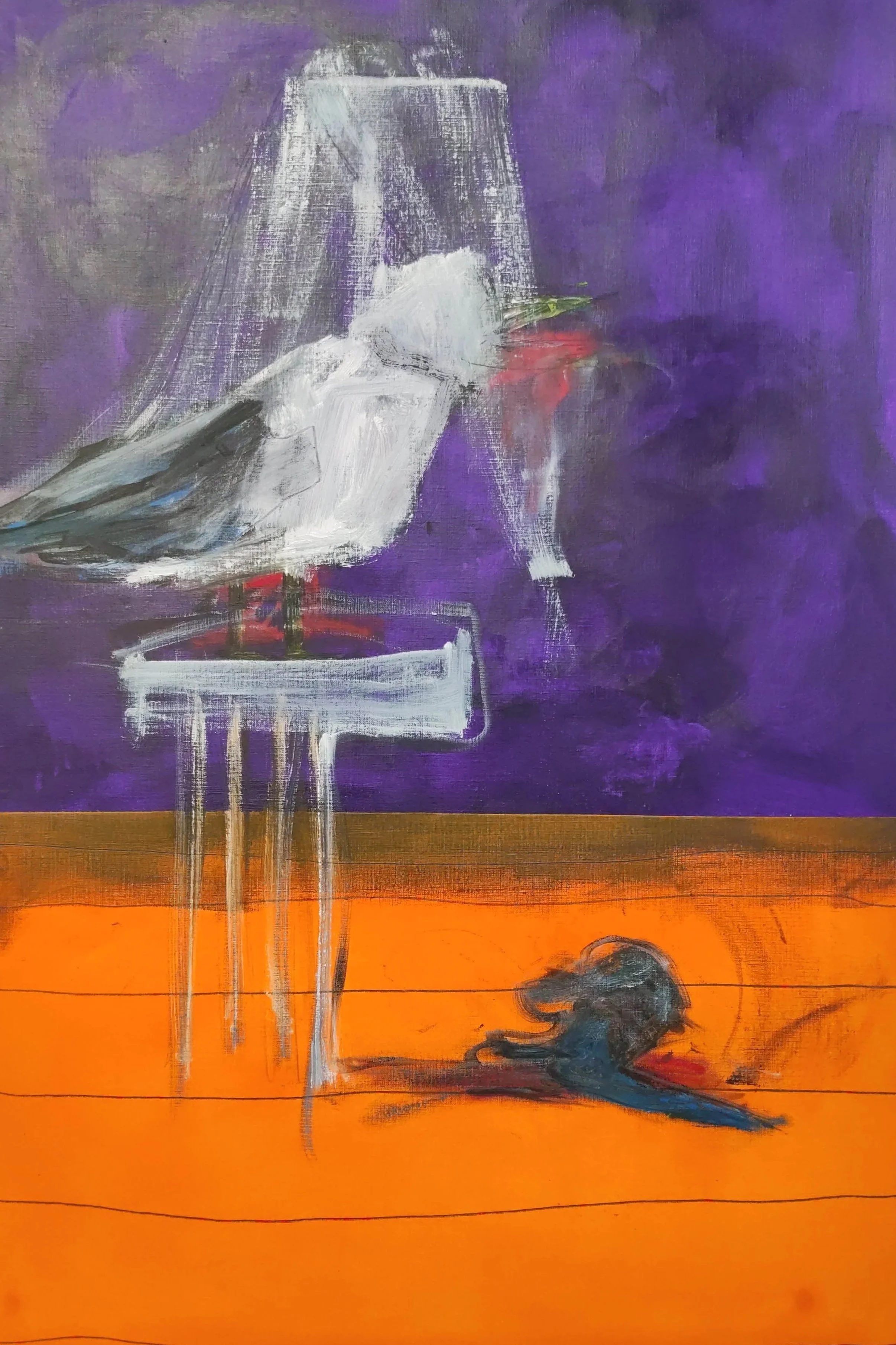 Seagull Eats Rat