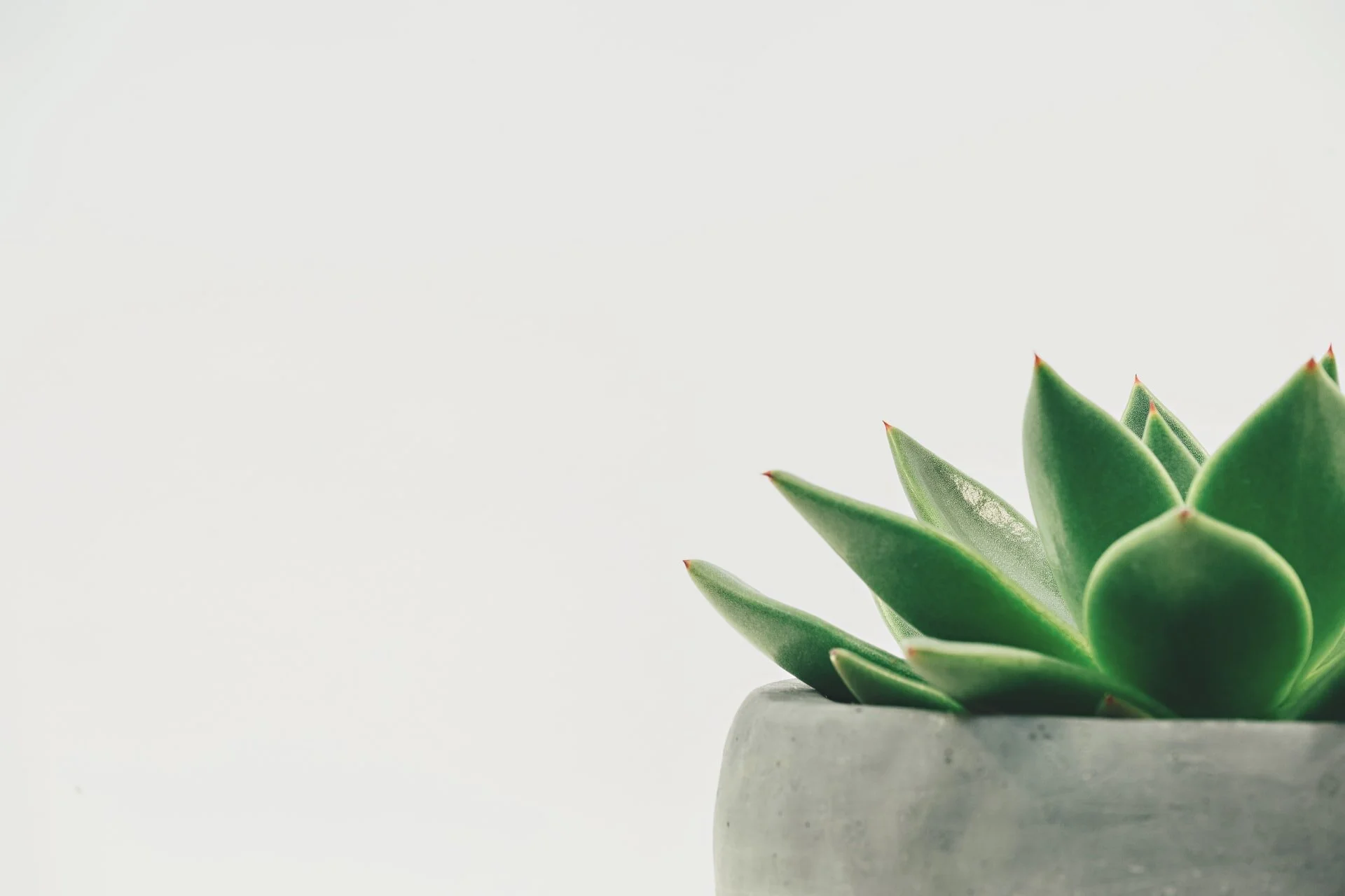 minimalray-minimalist-benefits-of-minimalism.jpg