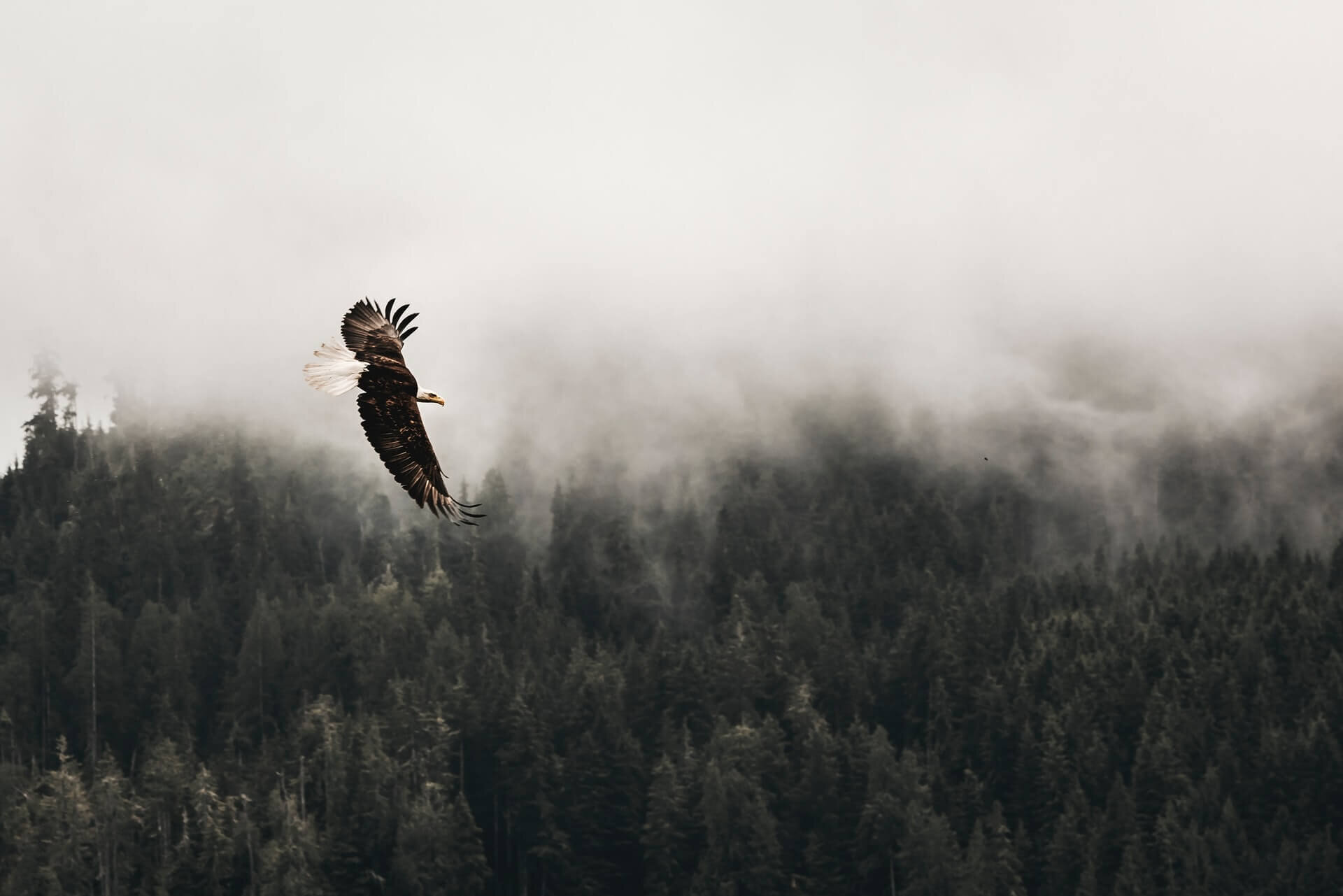minimalist-minimalray-benefits-6.jpg