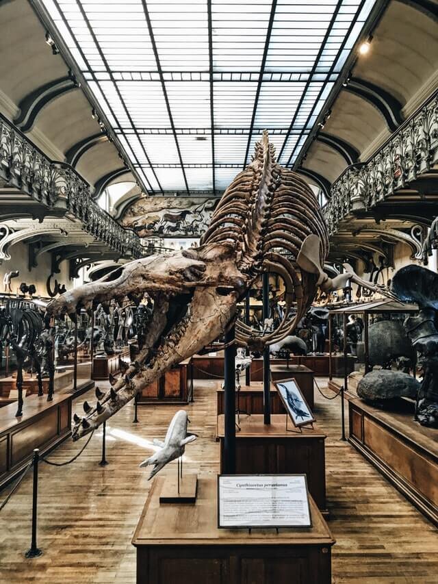 minimalray-minimalism-non-materialistic-gifts-museum-membership.jpg