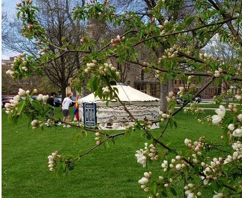 Tapestry Felted Traditional Mongolian Yurt