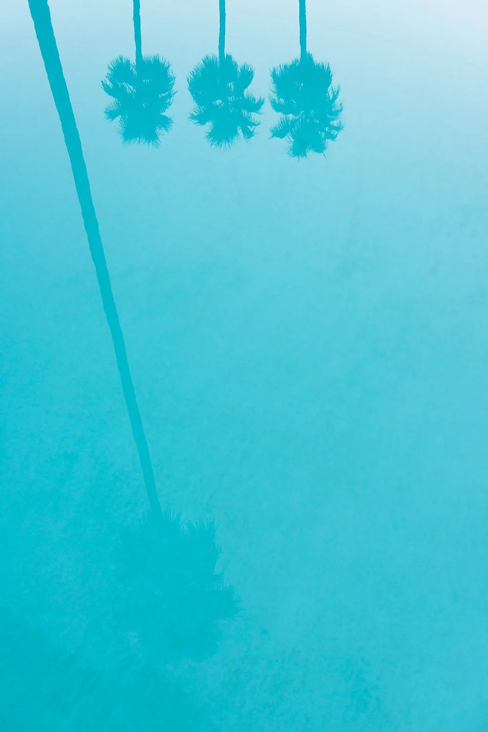 Melissa Roldan MRP_20130316_0084.jpg