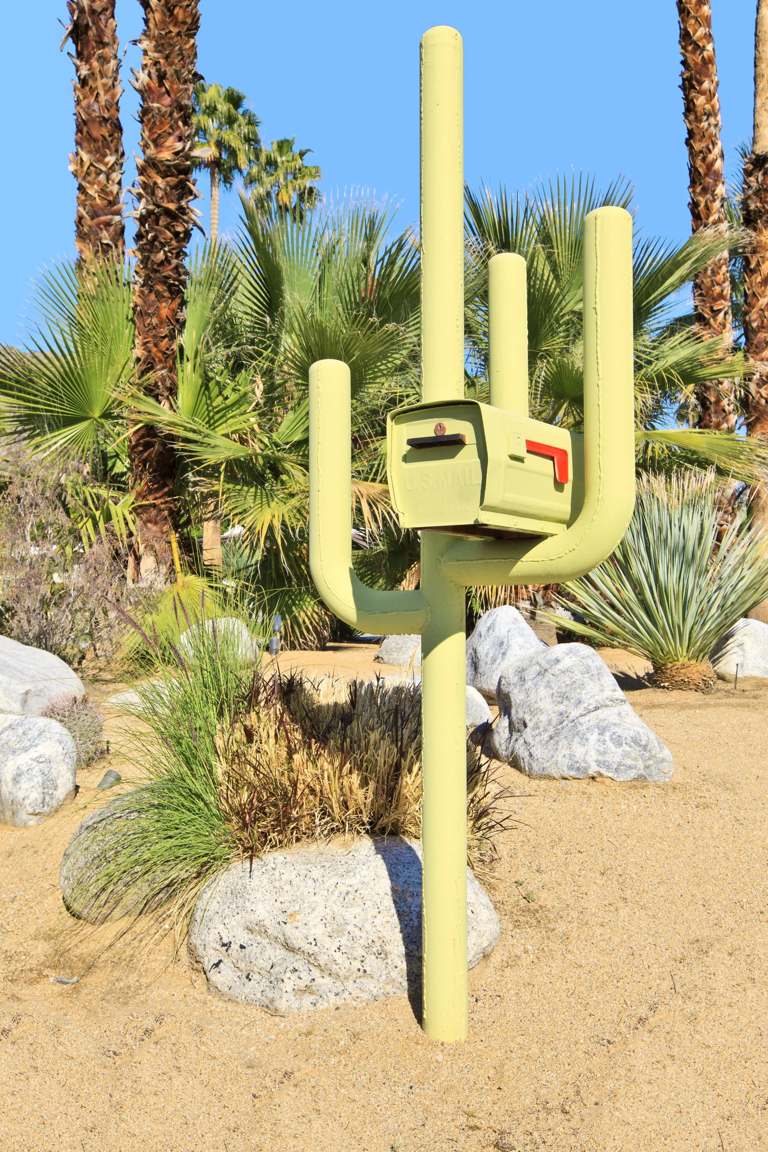 Green cactus-shaped mailbox surrounded by desert plants and rocks.