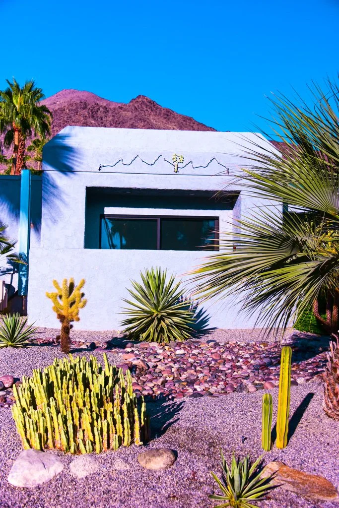Modern desert house with cacti and succulents in the front yard, palm trees and mountains in the background, clear blue sky.