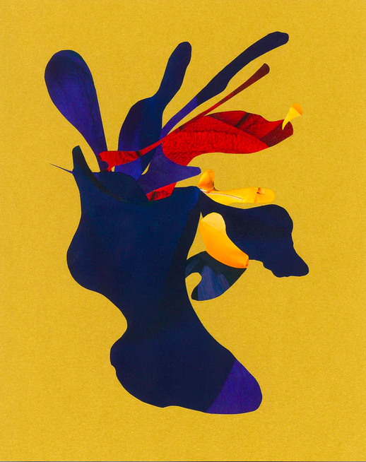 Screen Shot 2022-12-23 at 7.46.12 PM.png