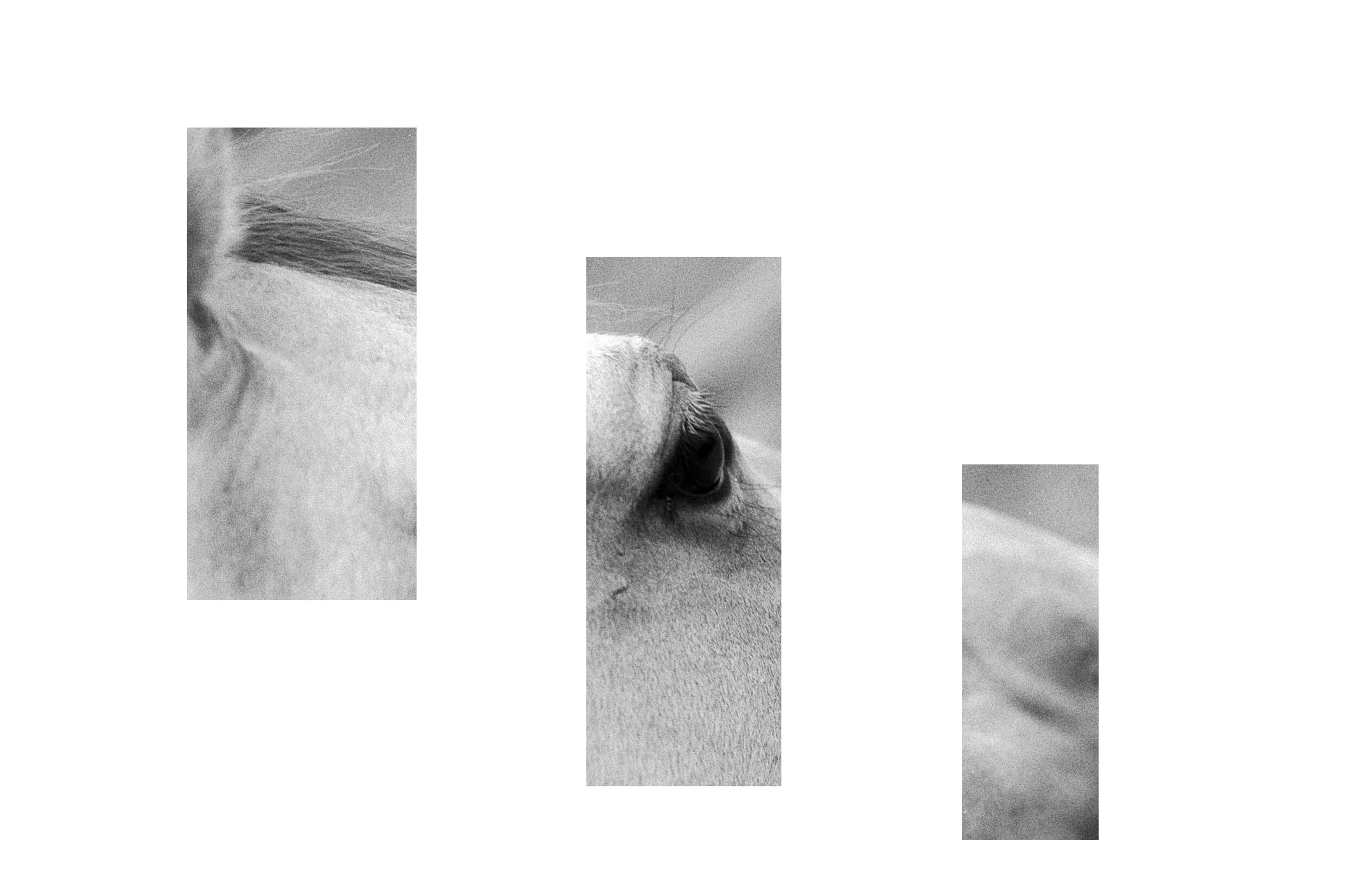 header I.jpg
