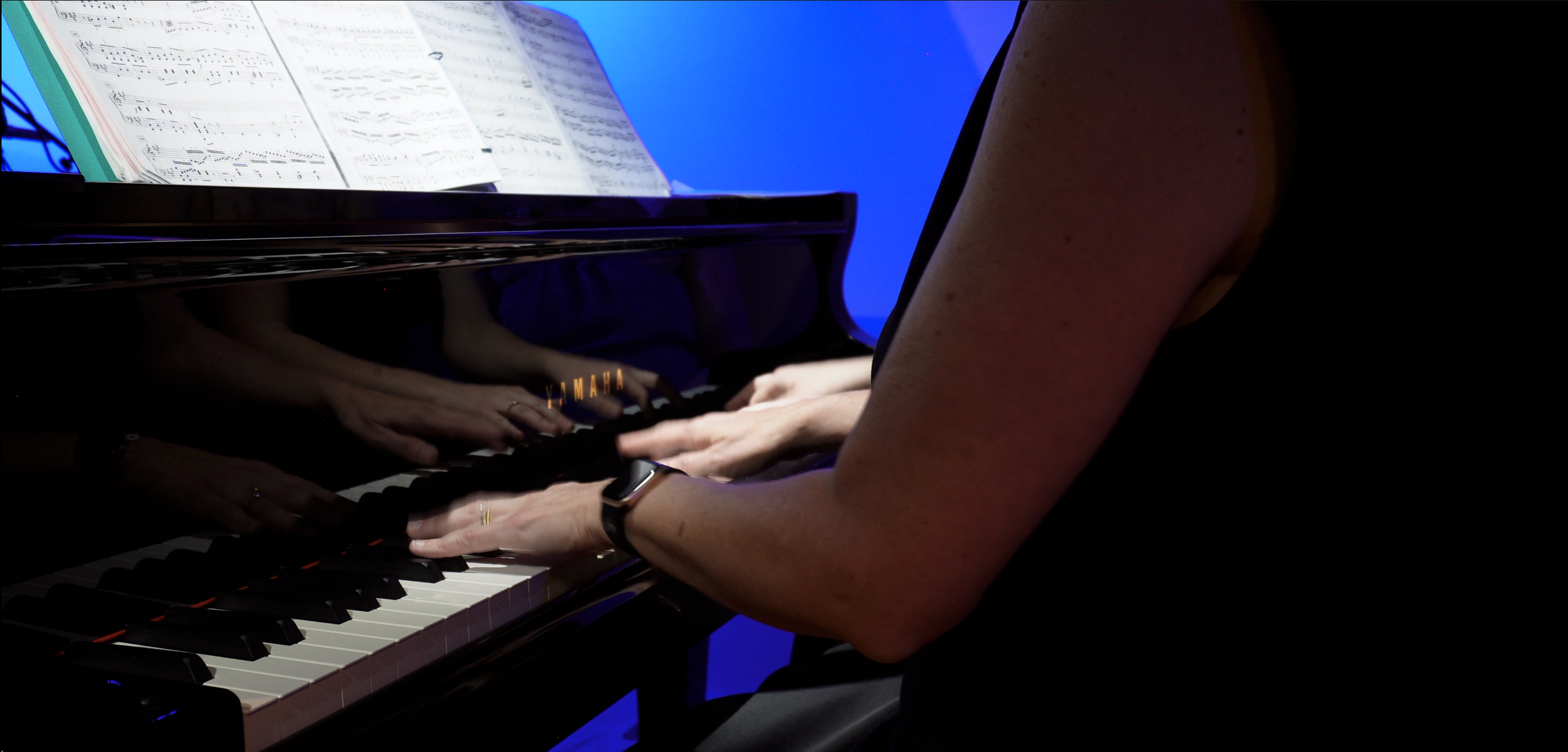 Saint-Saëns - Carnival of the Animals. Performed by Michaela Allen & Mindi Morse 