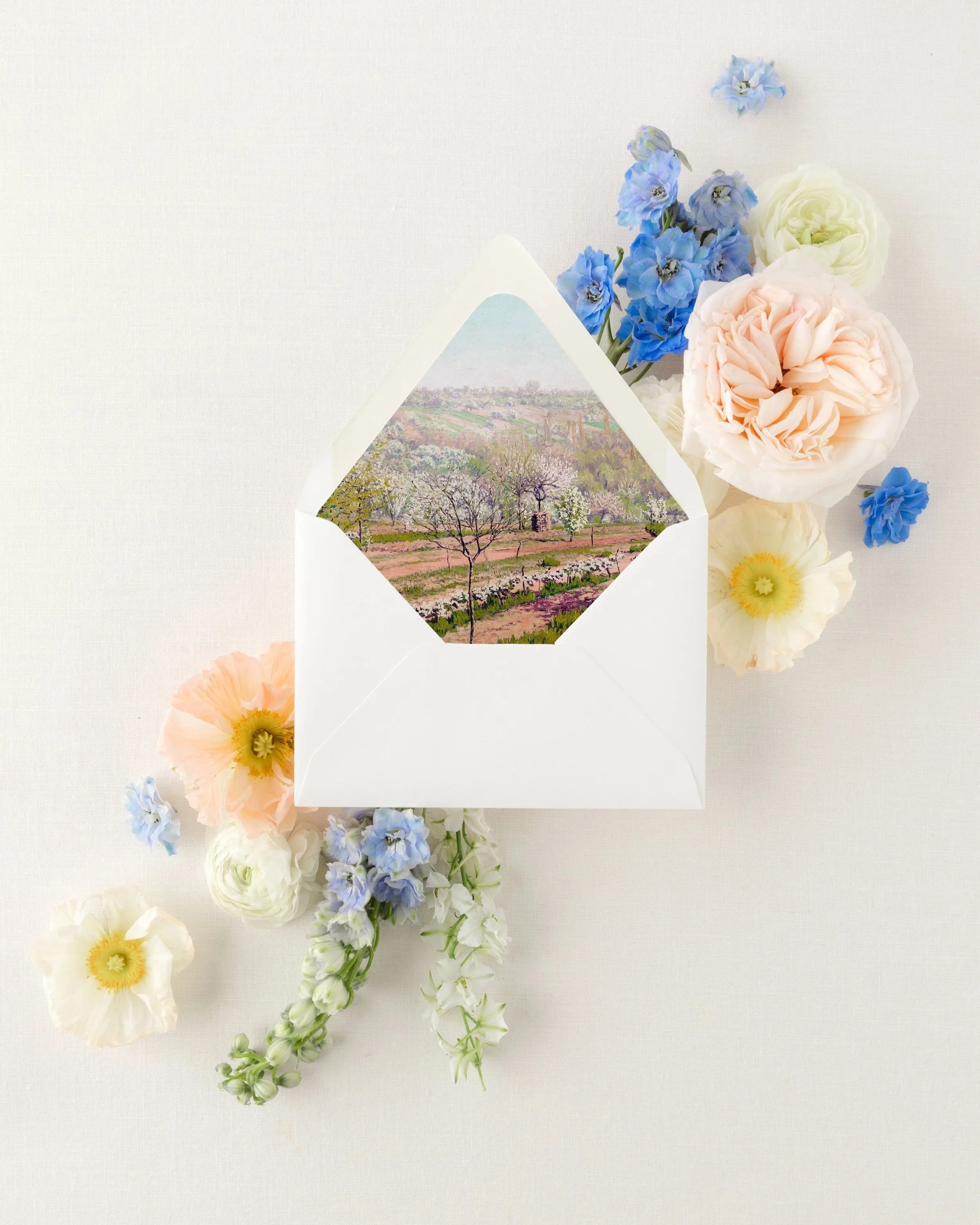 Envelope+Liner.jpg