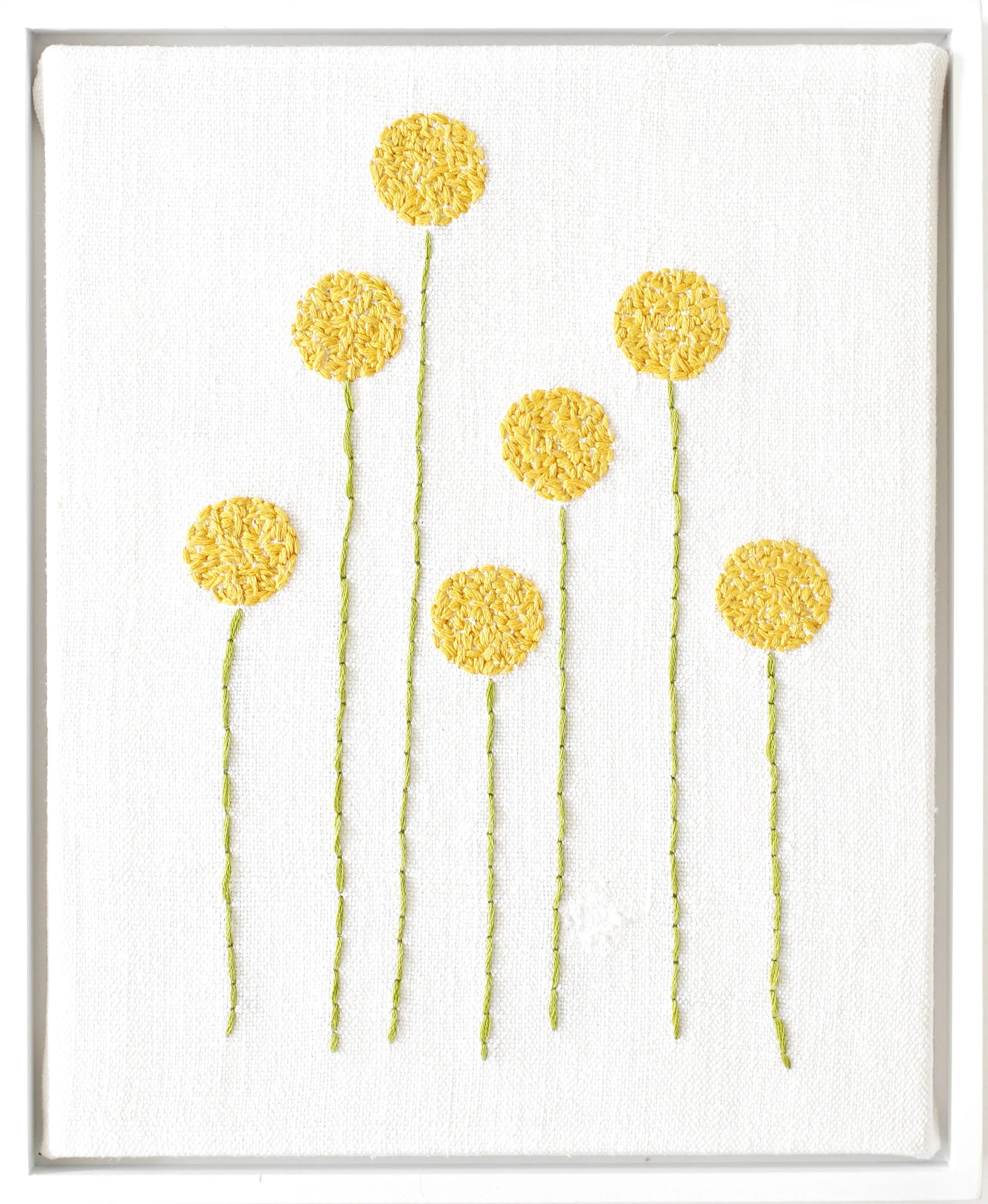 billy buttons8x10.jpg