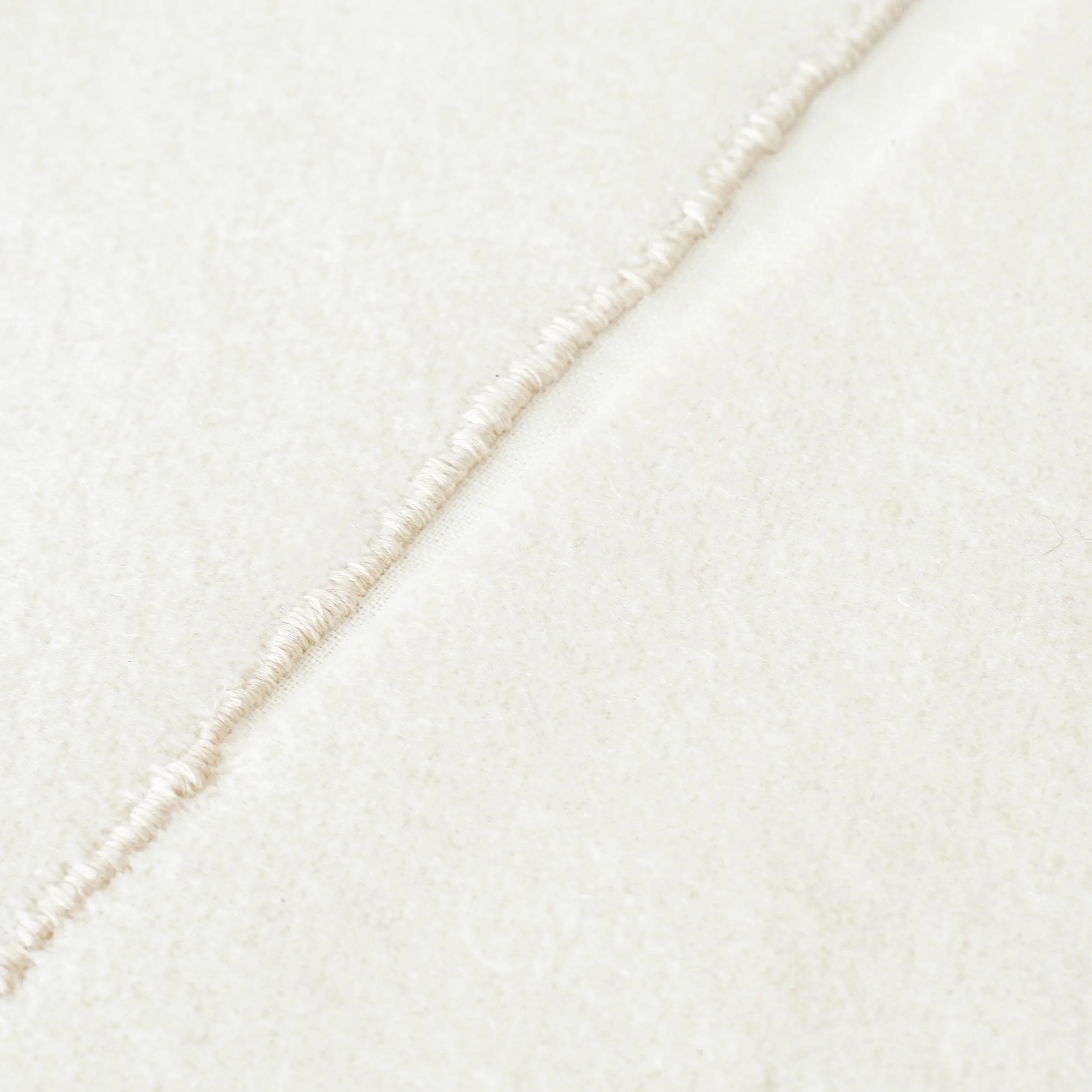 where land meets the sea2.jpg