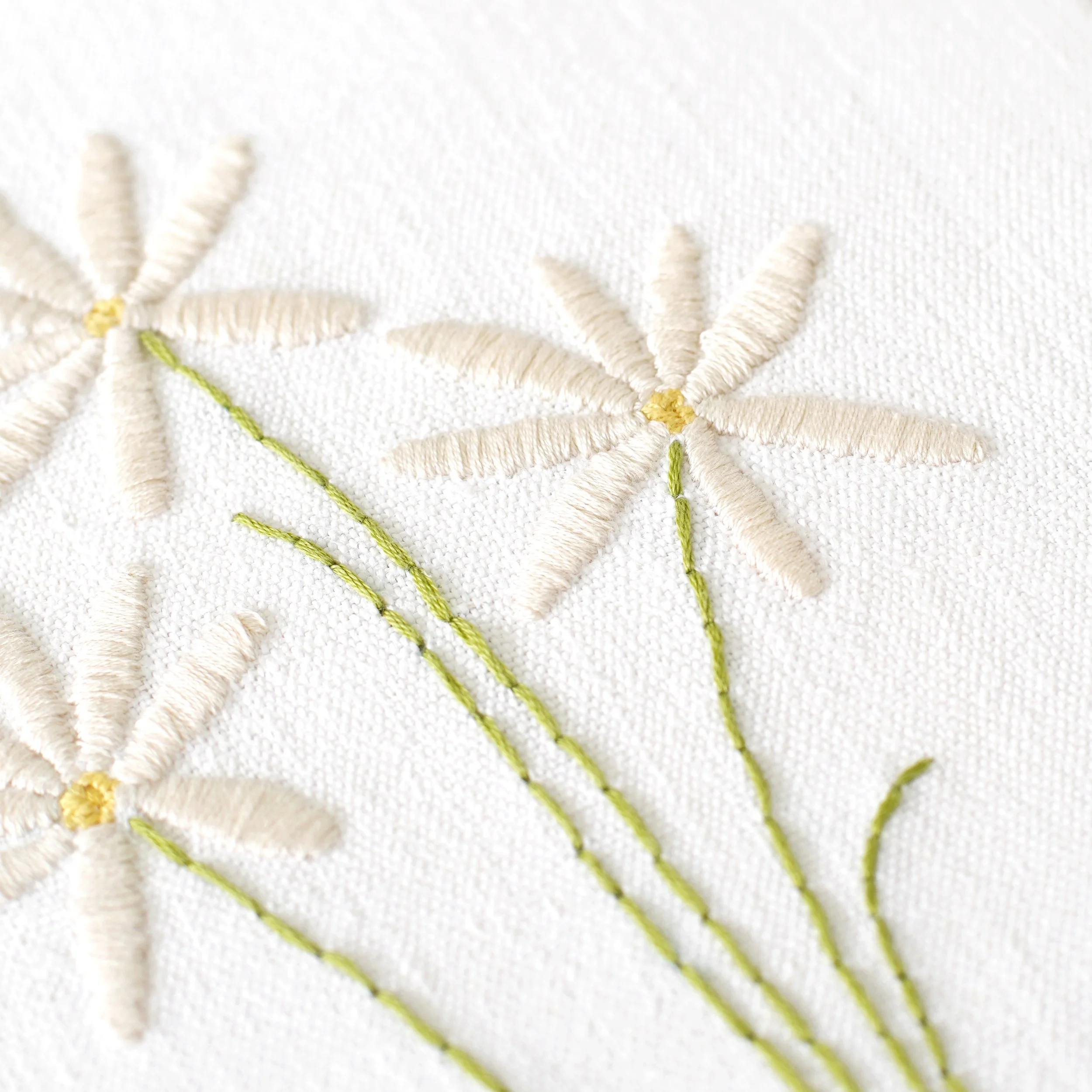 DAISIES DETAIL.jpg