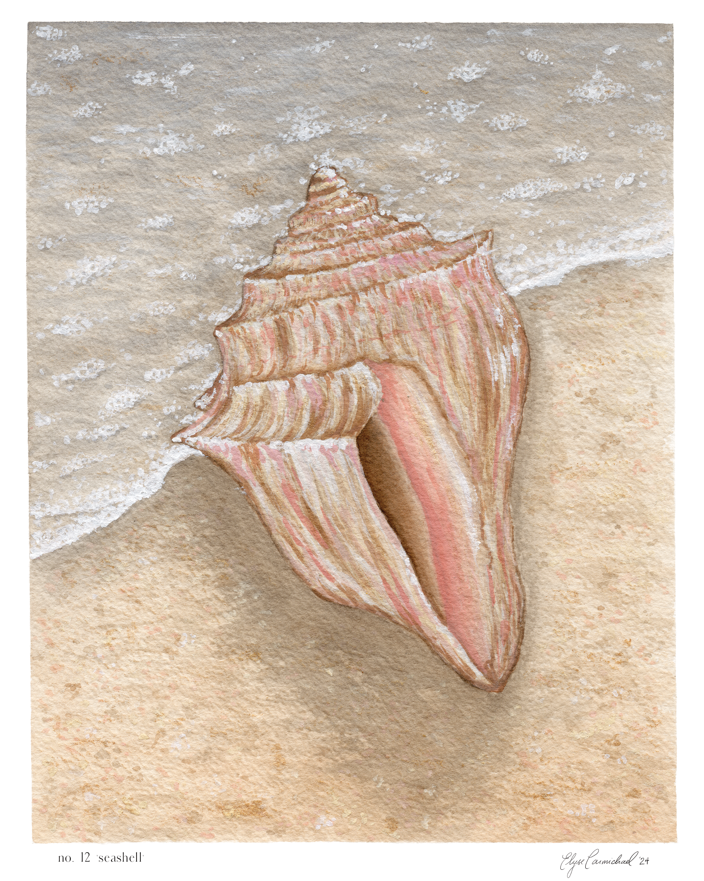 seashell print.png