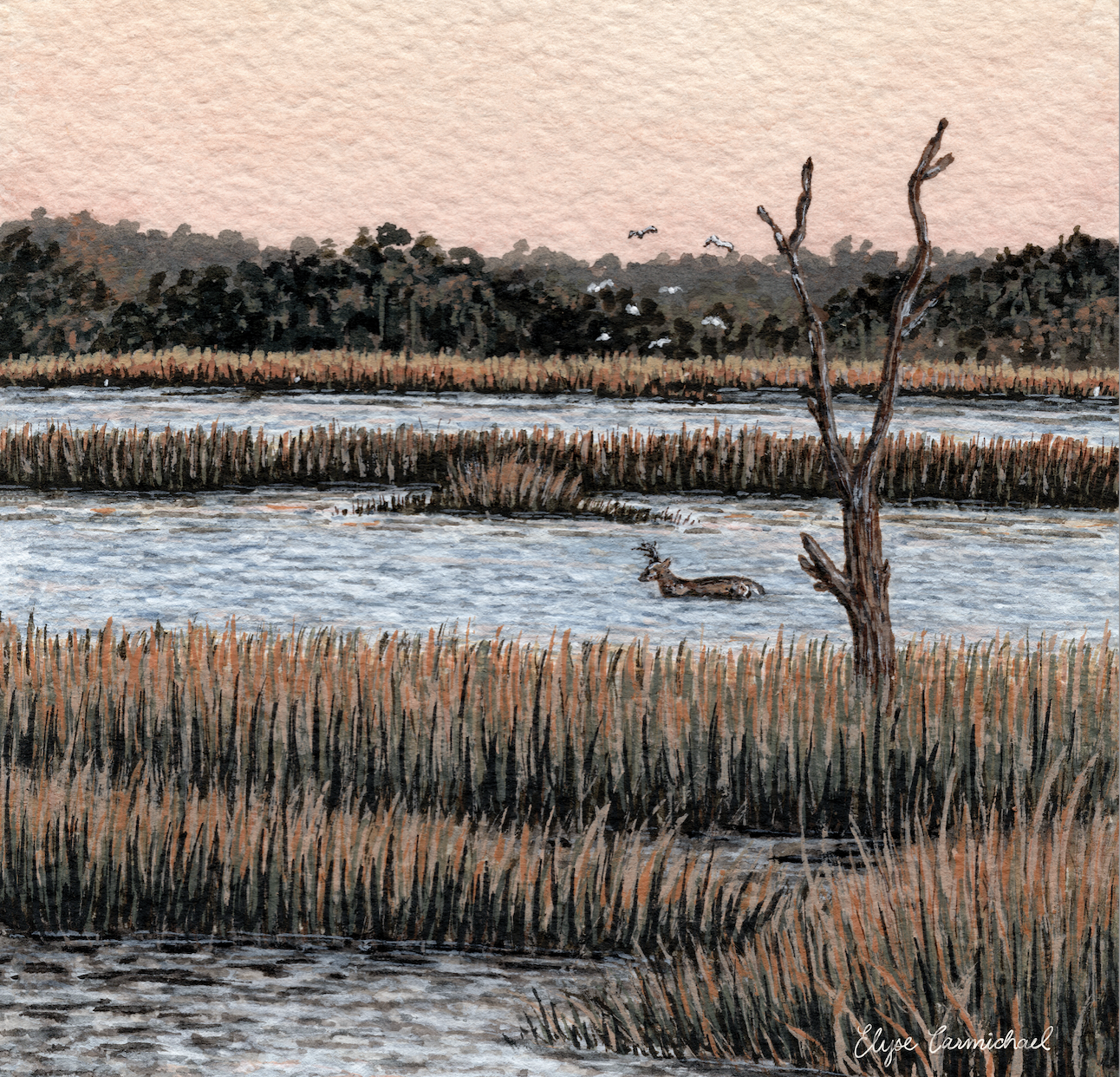 deer crossing 8x10 print