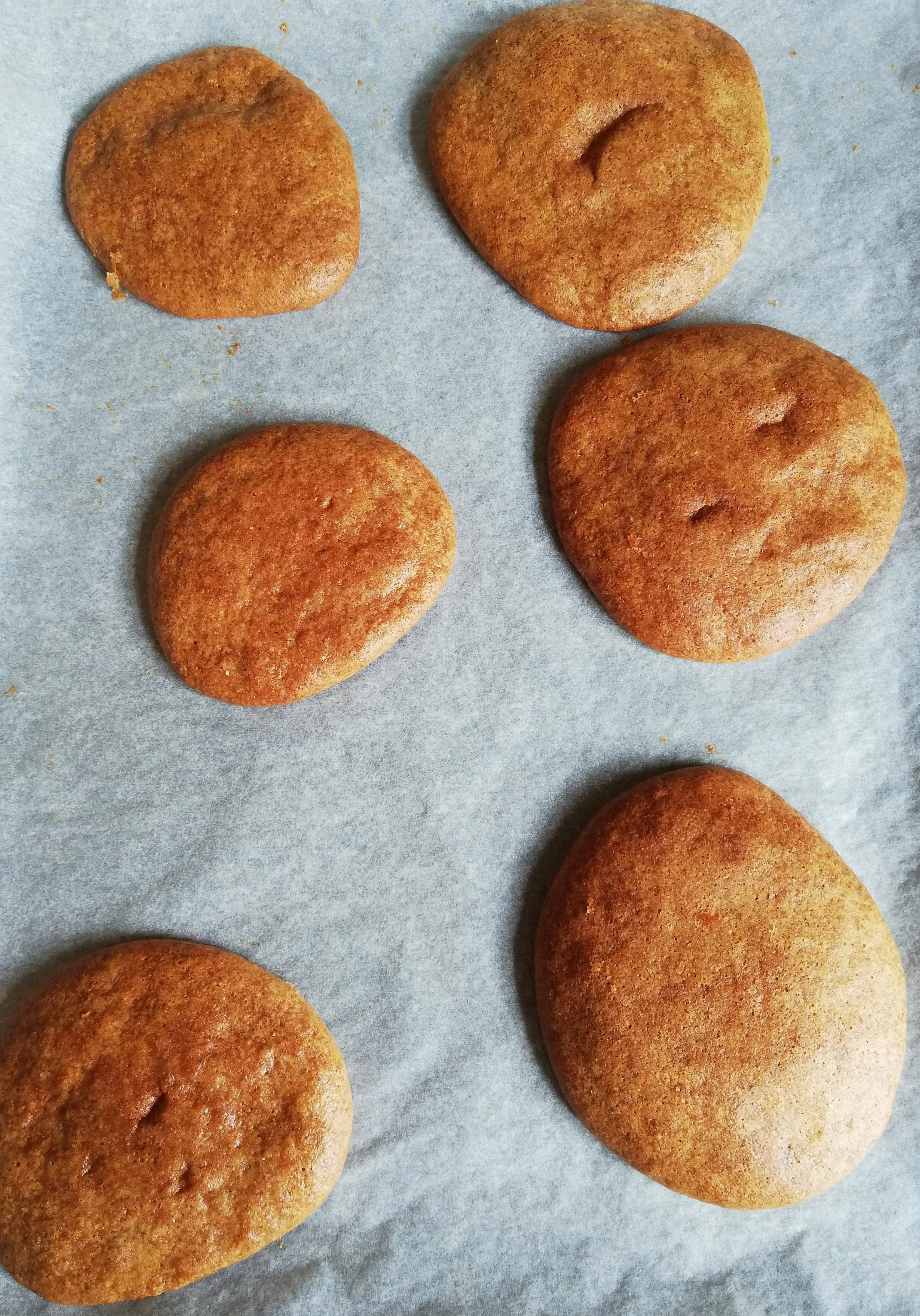 Citrus Biscuits
