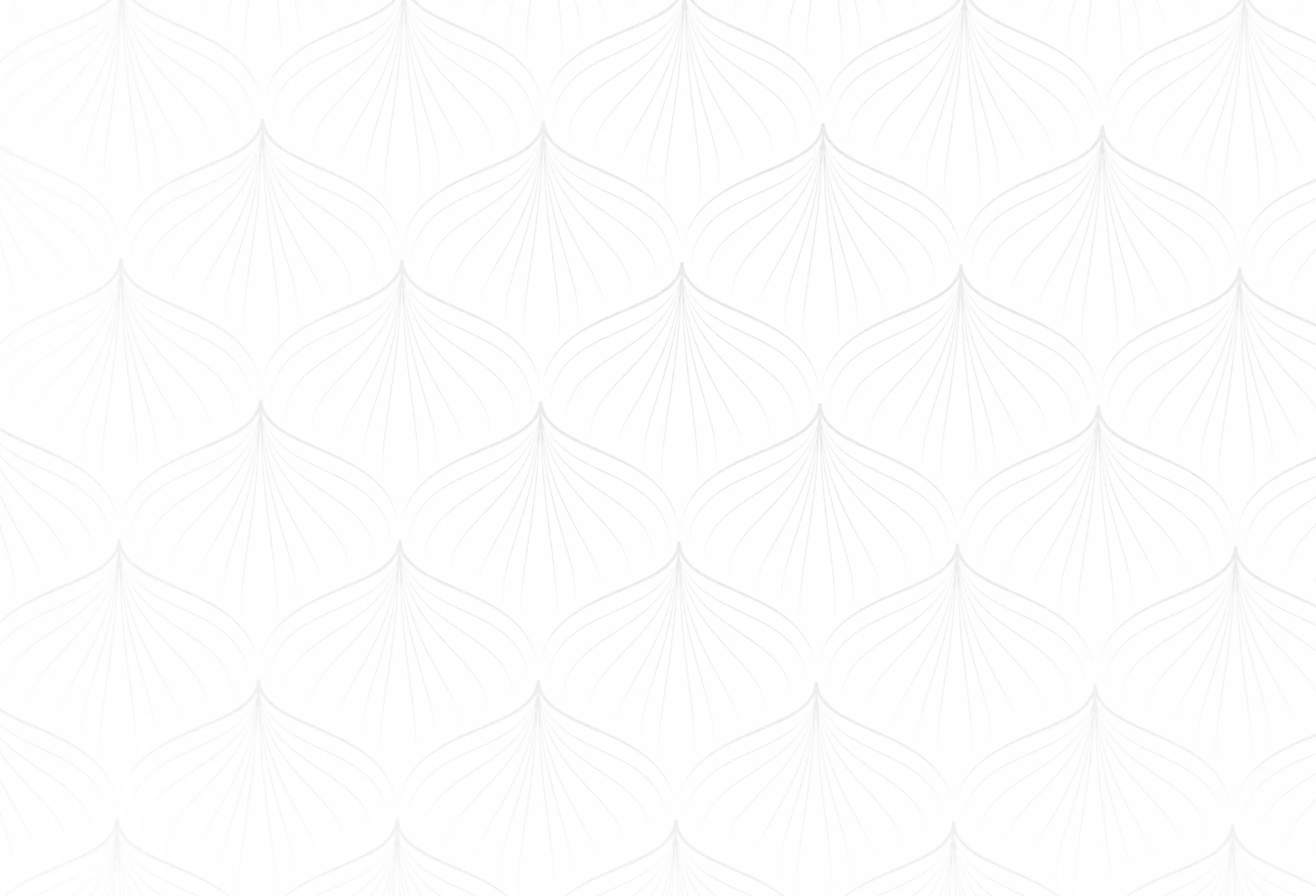 background-2 copy.jpg