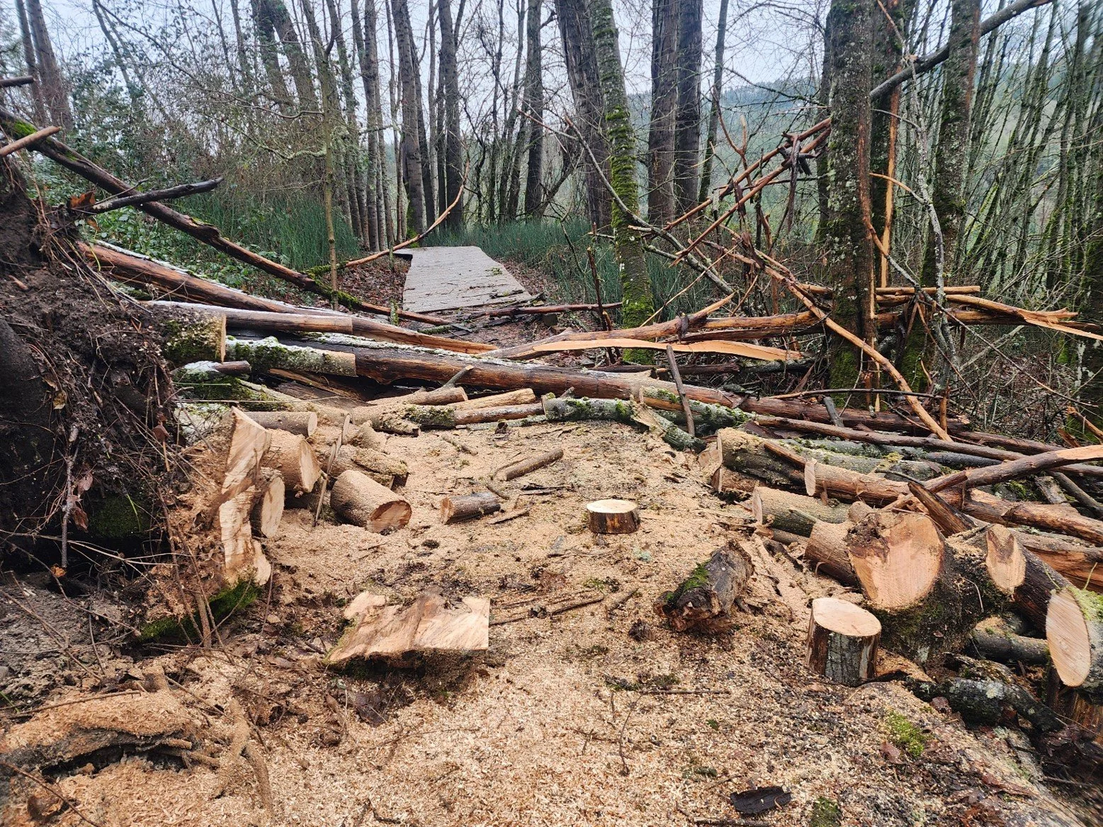 Trail maintenance after storm
