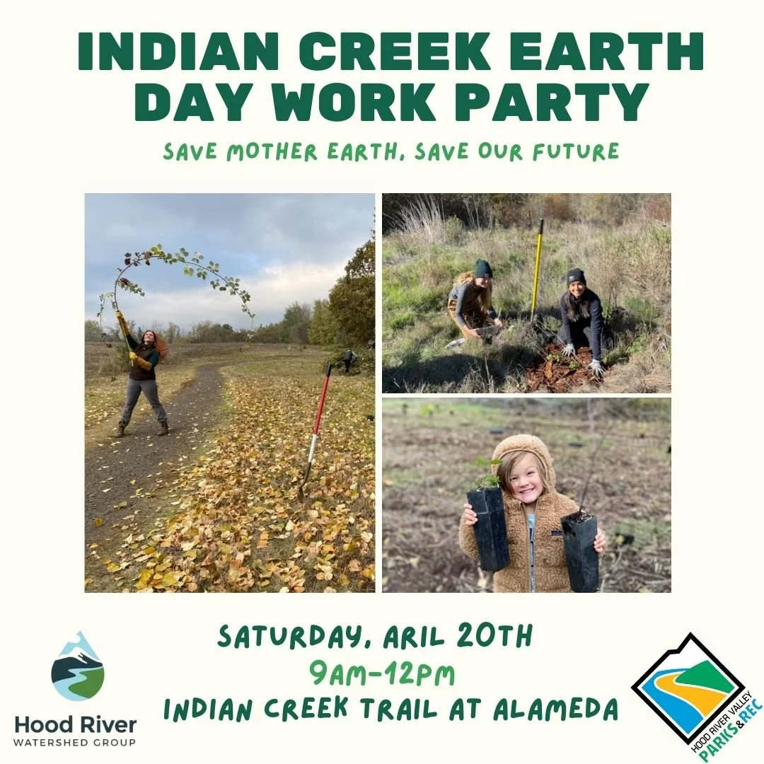 Indian Creek Earth Day Work Party