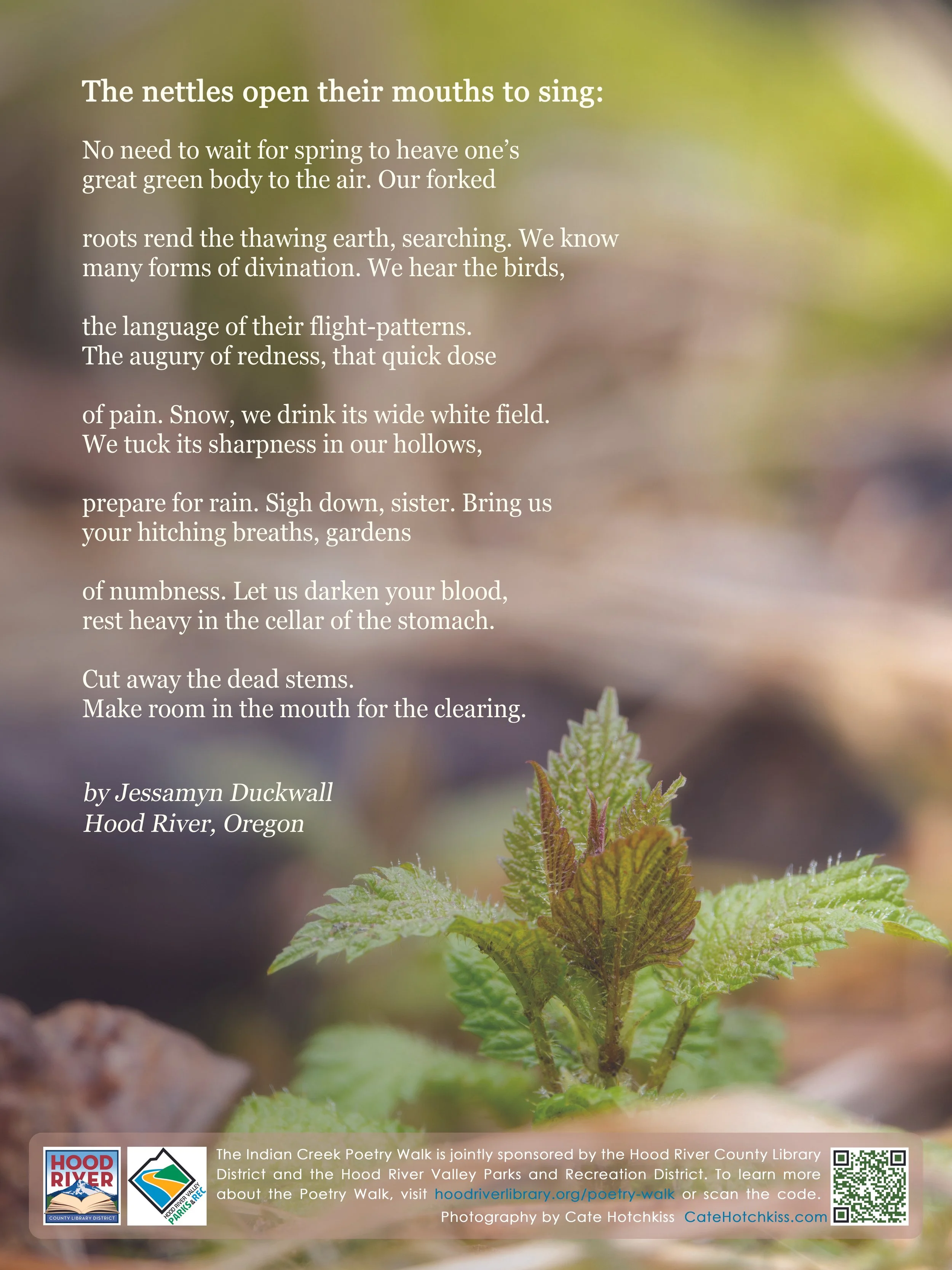 The nettles open their mouths to sing.jpg