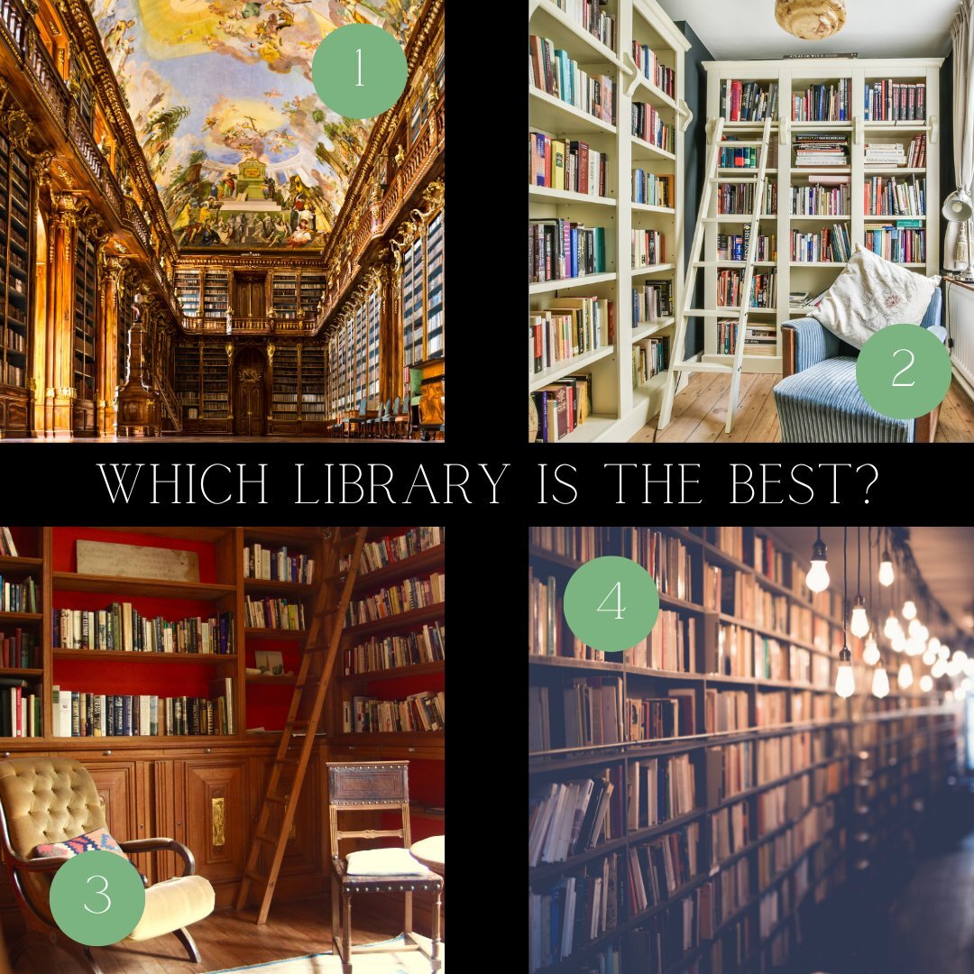 Happy National Library Day. Which one appeals to you most? #readabook #librarylove