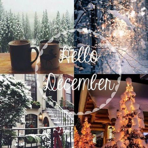Your Monthly Wit and Whimsy! Link in bio. #newsletter #witandwhimsy #December #romance #christmas #holiday #comingsoon #sale #newrelease
