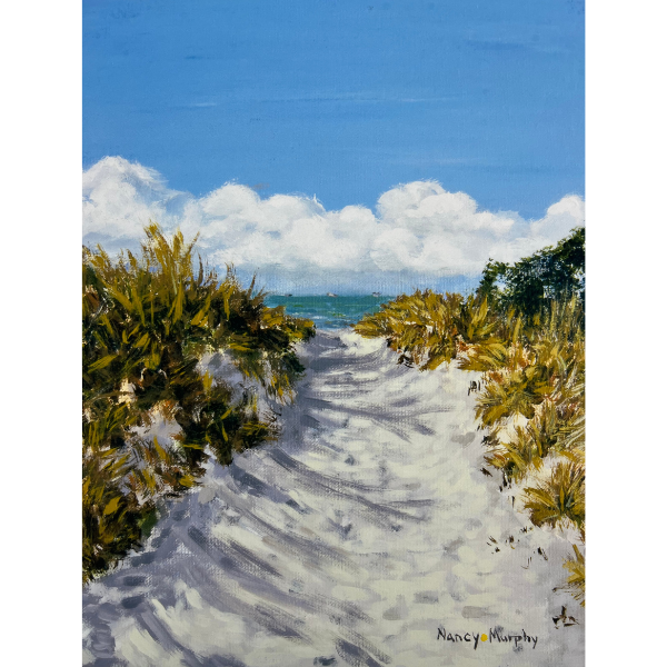 Cape Charles beach, Virginia Beach, eastern shore, beach dunes