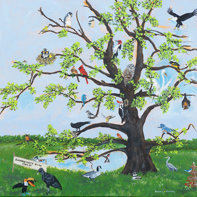 bird art, bird art print, eastern shore birds, birds in Cape Charles, birds eastern shore Virginia,
