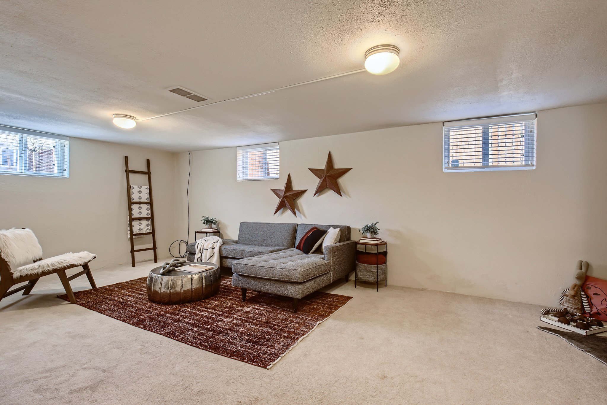2637 N Jackson St Denver CO - MLS Sized - 022 - 33 Lower Level Living Room.jpg