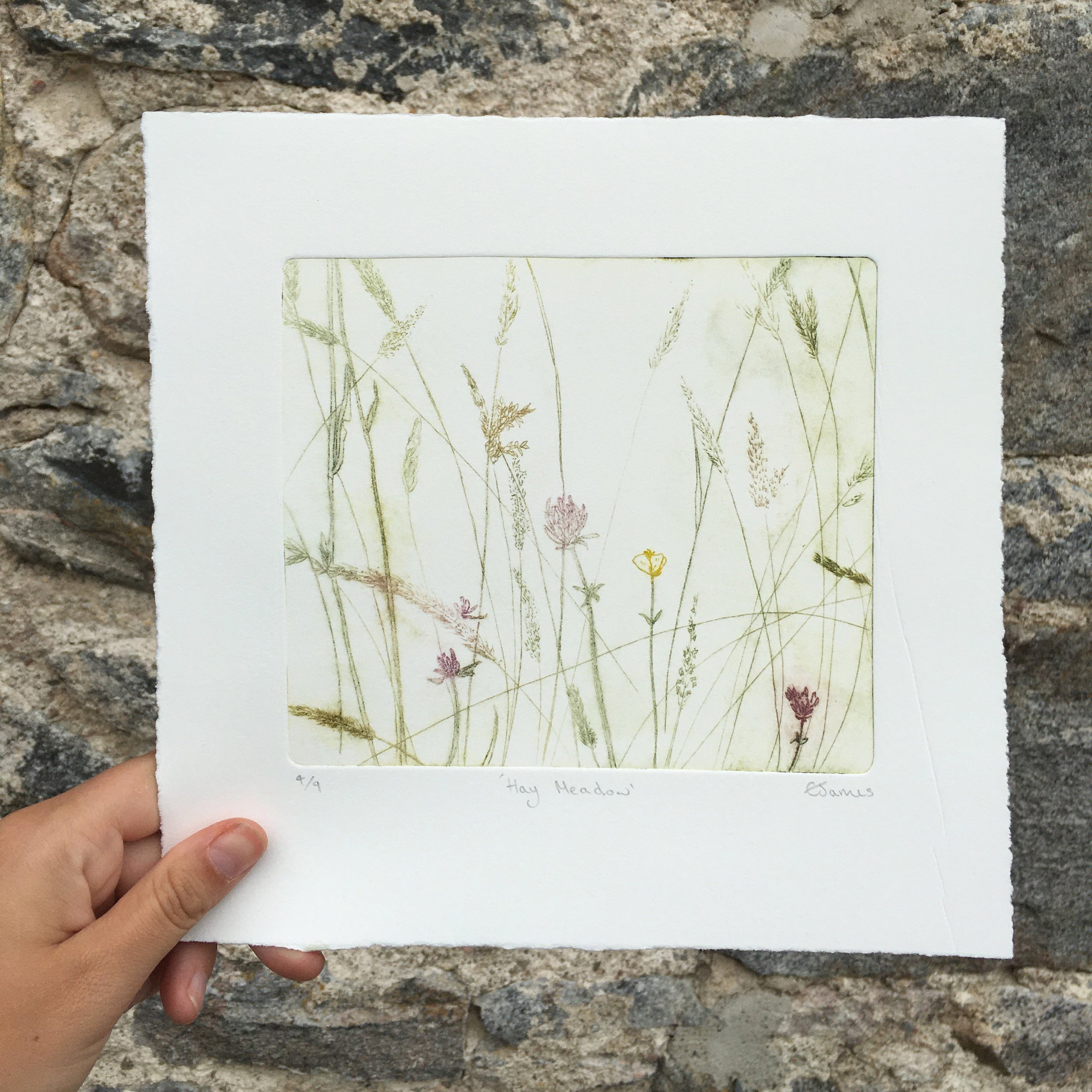 hay-meadow-original-drypoint-etching-art.jpg