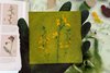 Colgraph Plate How to make a collagraph | Printmaking Guide — Ellie James Printmaker