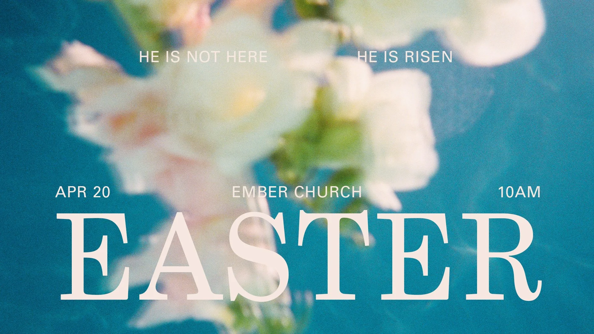 EasterOnscreen_02.jpg