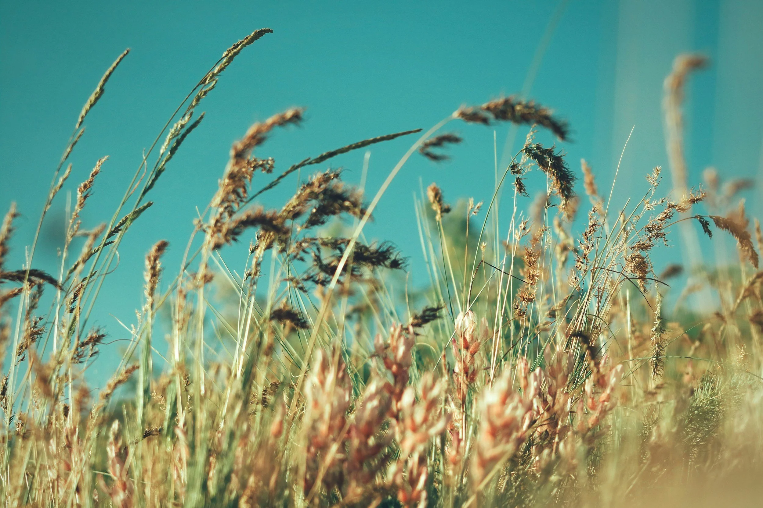 Neuro-affirming ADHD testing and evaluation in Bozeman, MT