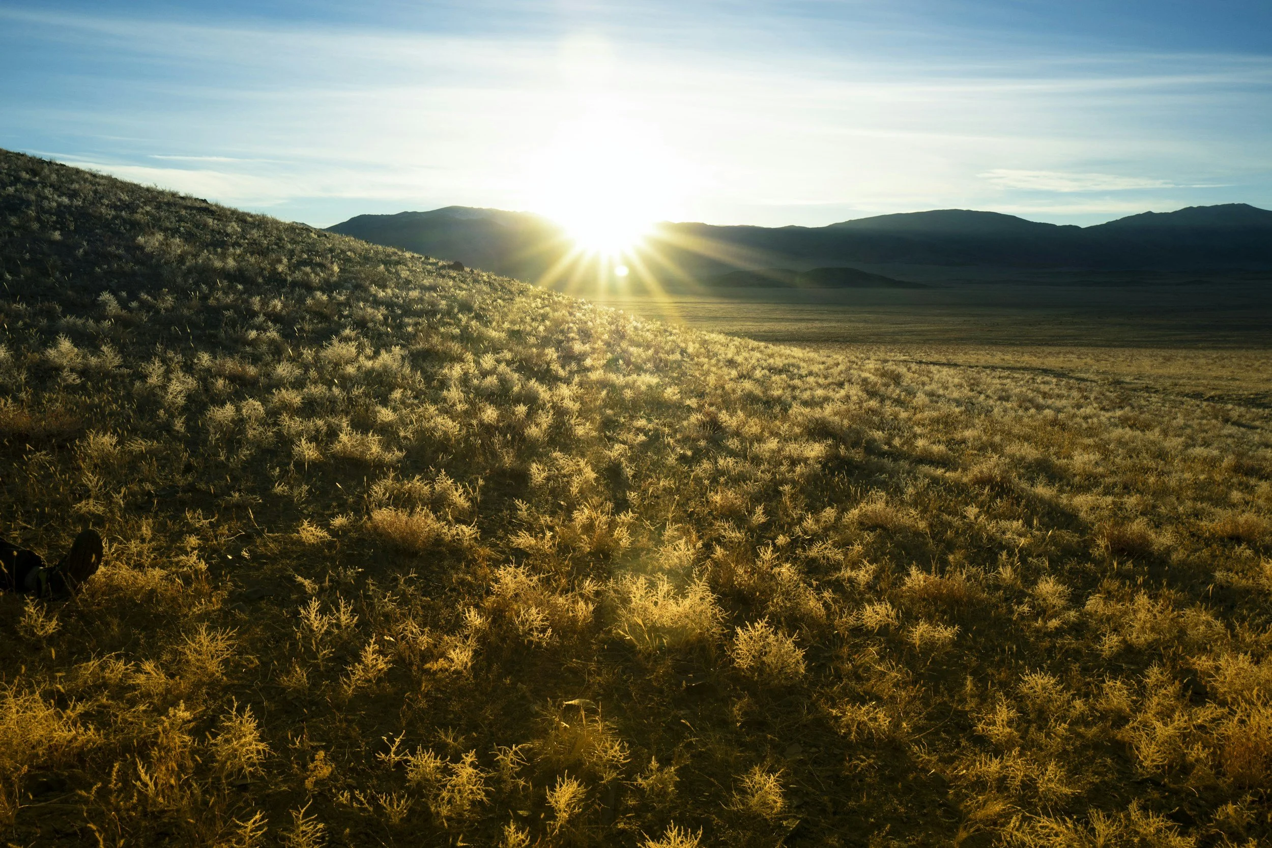 Comprehensive ADHD and autism evaluations built on consultation, assessment, feedback, and report in Montana