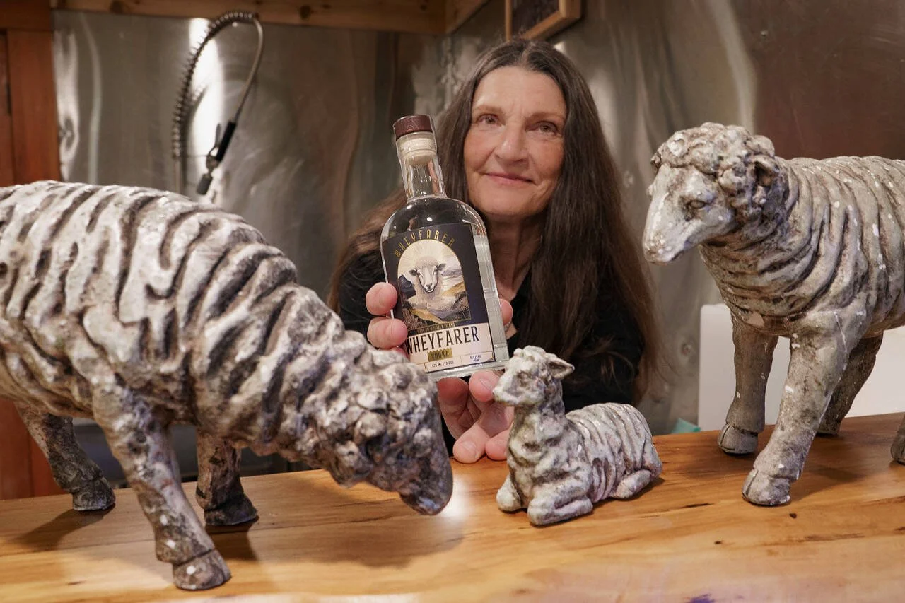 Make whey! Whidbey’s Glendale Shepherd now distilling vodka