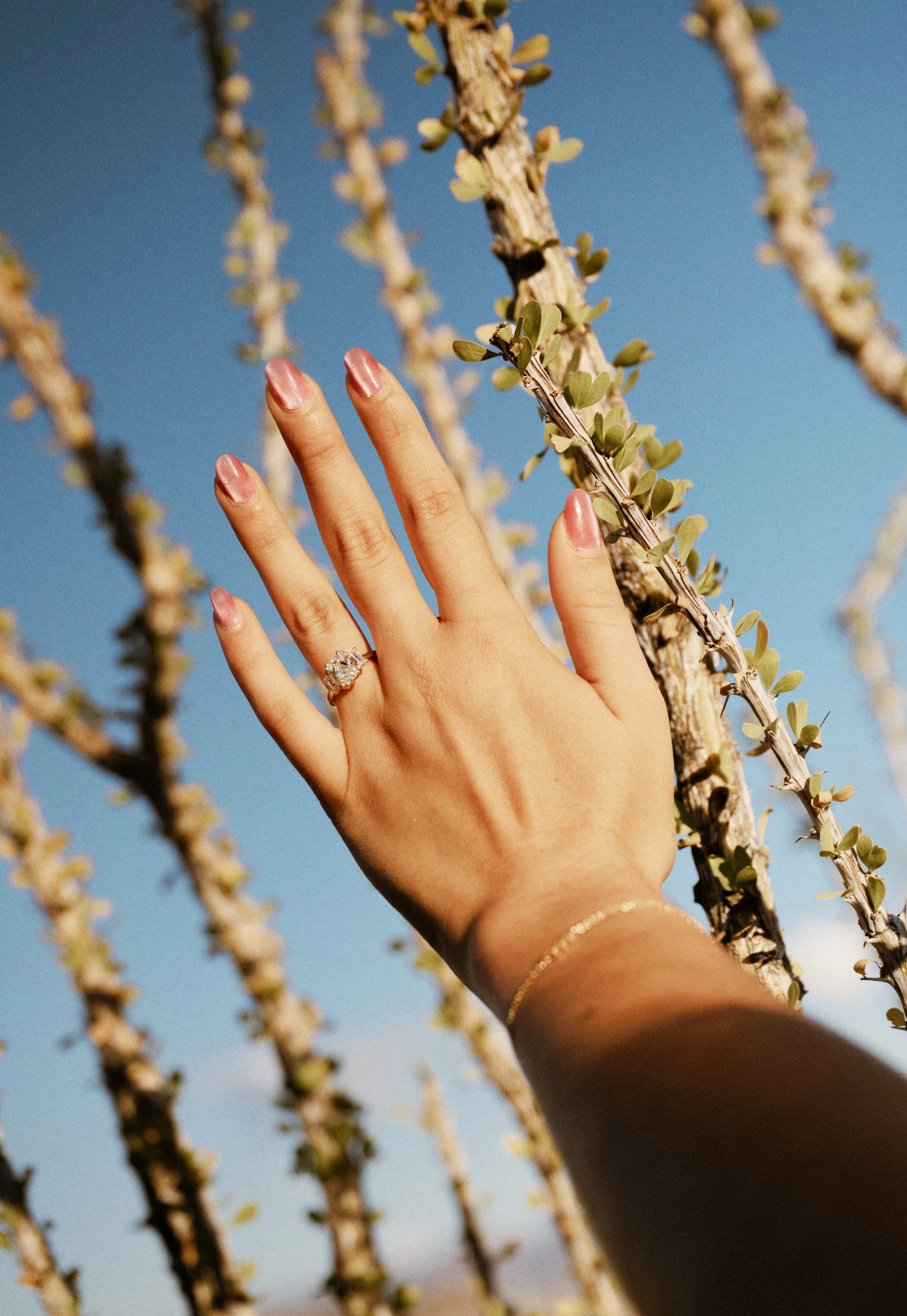 A hand with manicured nails and an engagement ring touches desert plant branches against a blue sky.