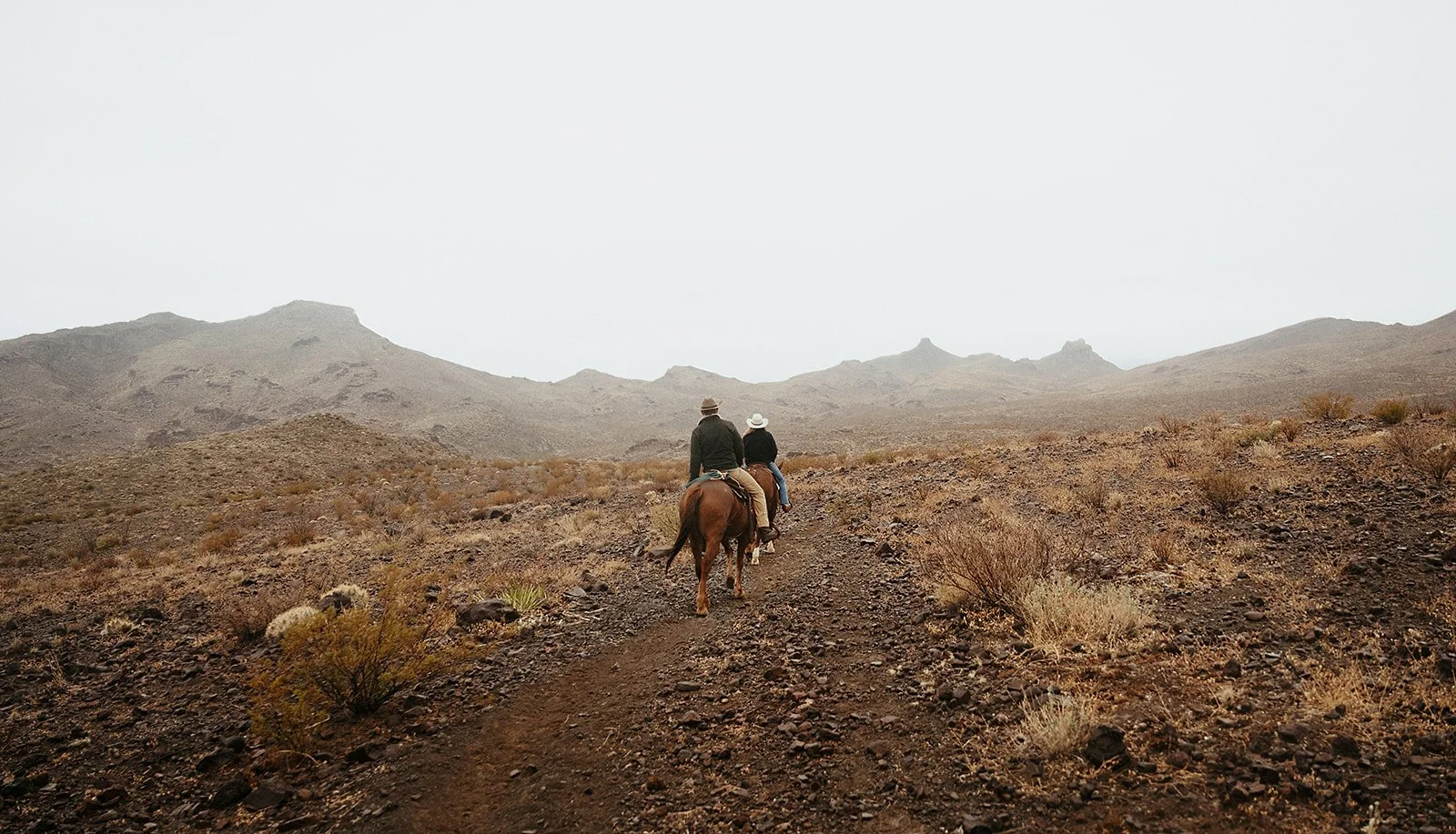 west-texas-horseback-elopement-4_websize.jpg