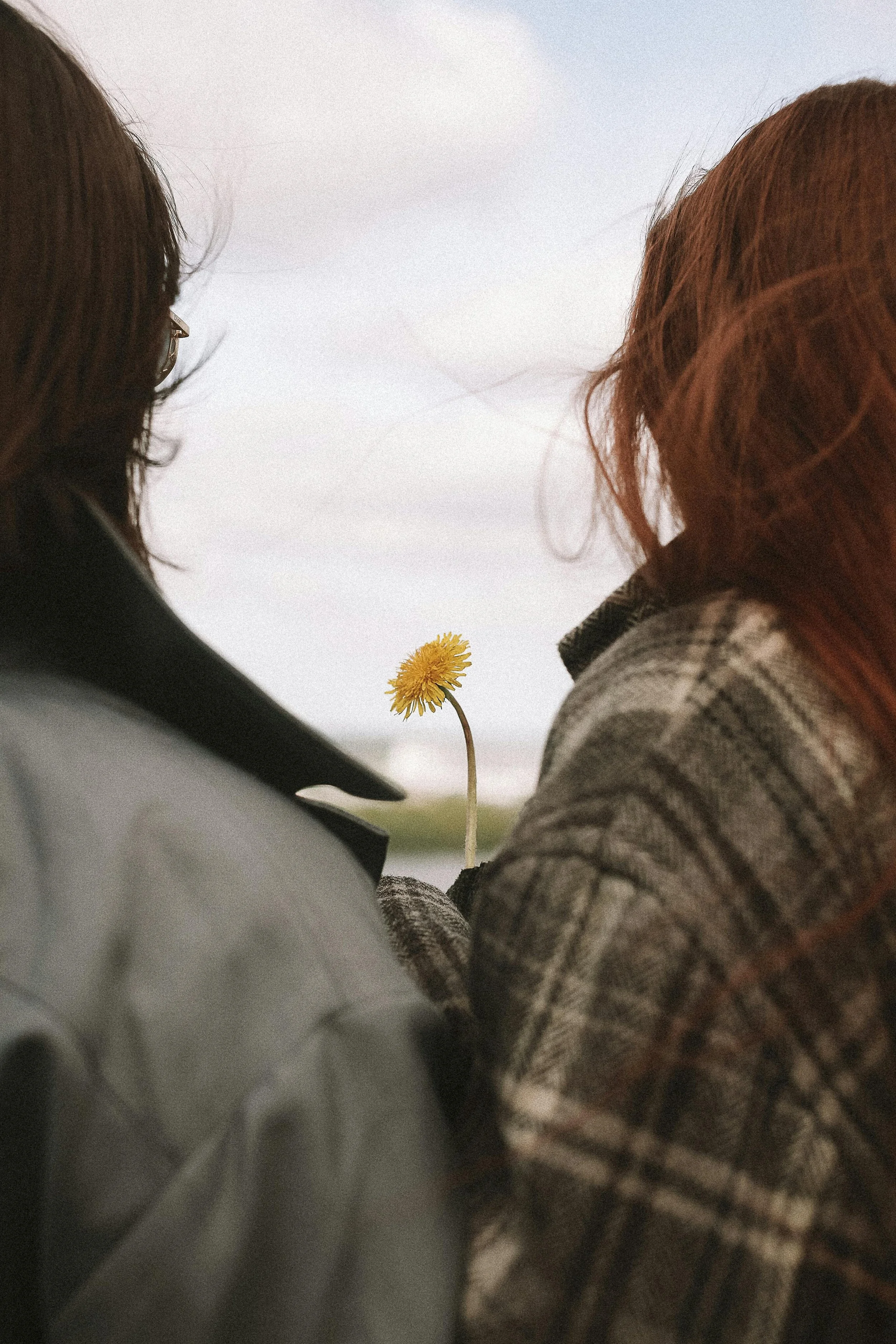 Action Step: Reflection