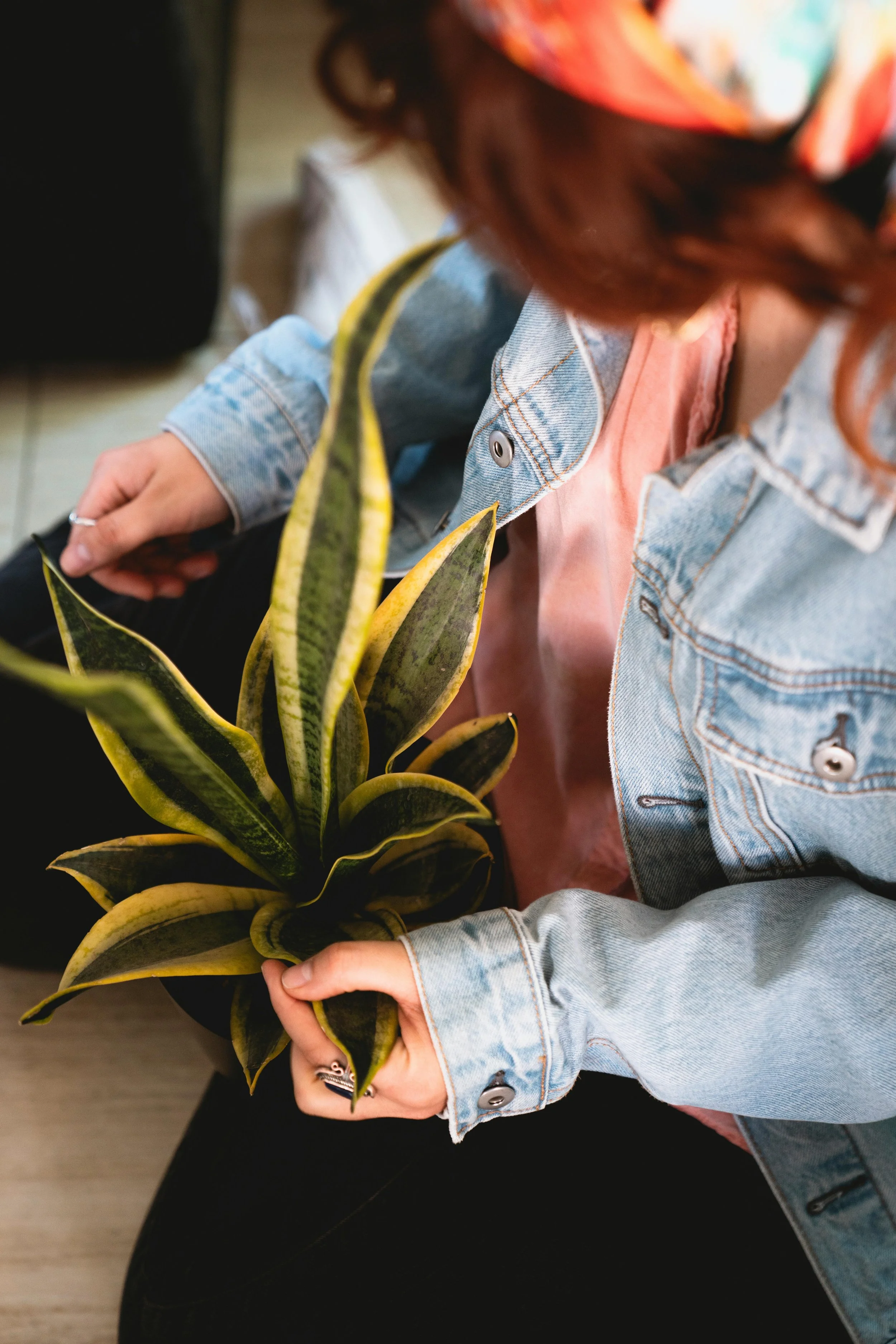 White Supremacy, Decolonization