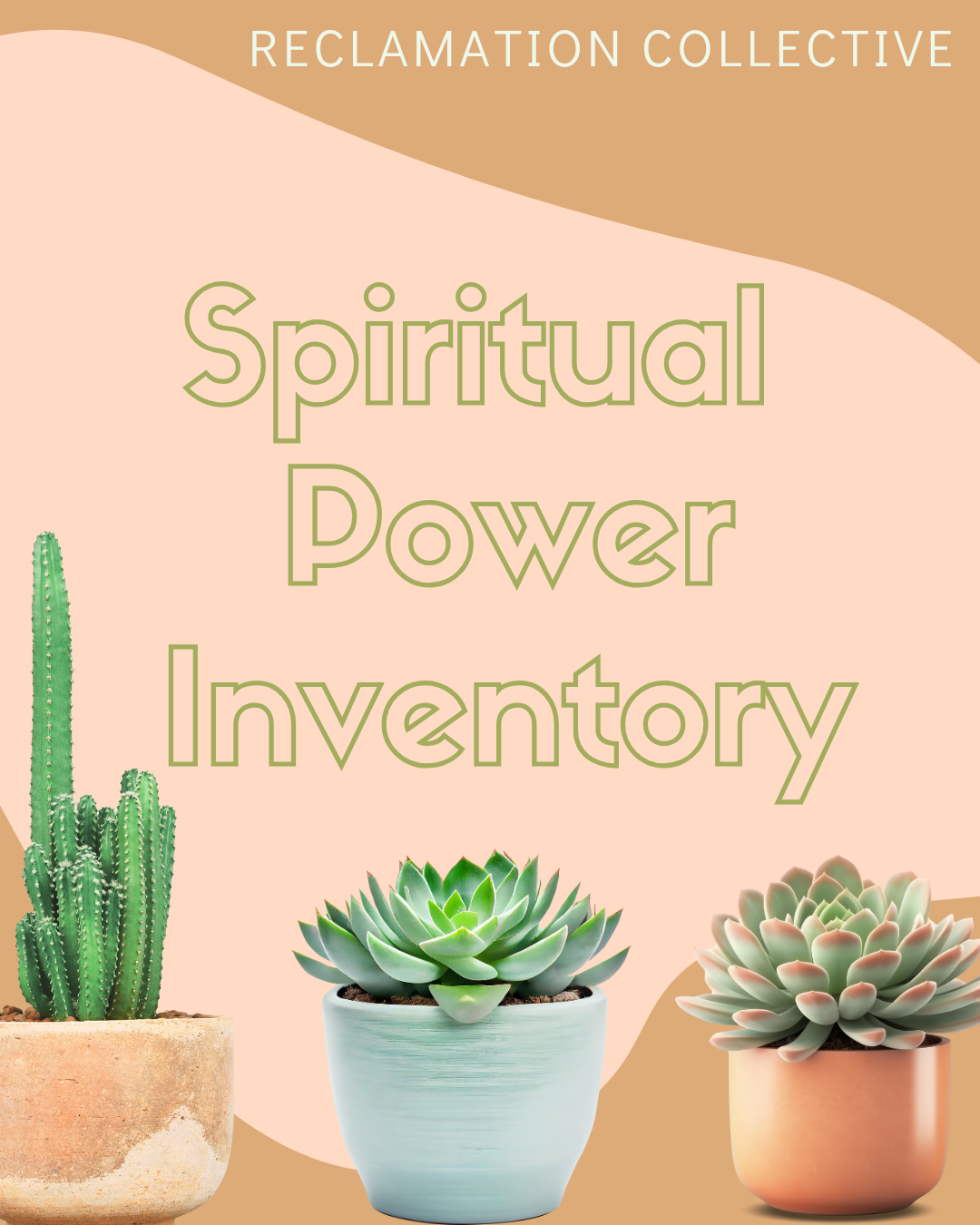 images of 3 potted succulent plants with details of Spiritual Power Inventory