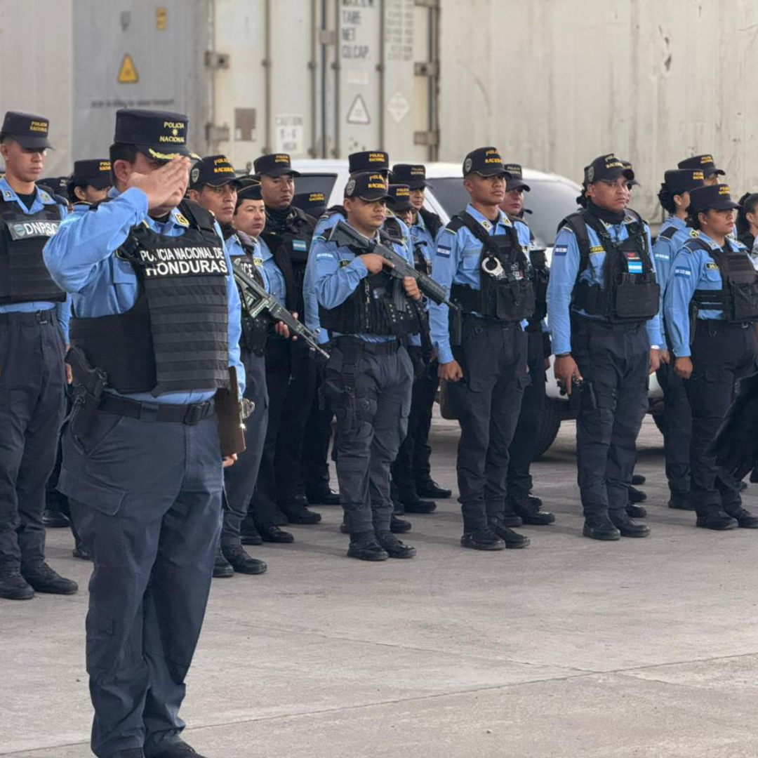 De la reducción coyuntural a la institucionalización del orden: los siguientes pasos en seguridad pública