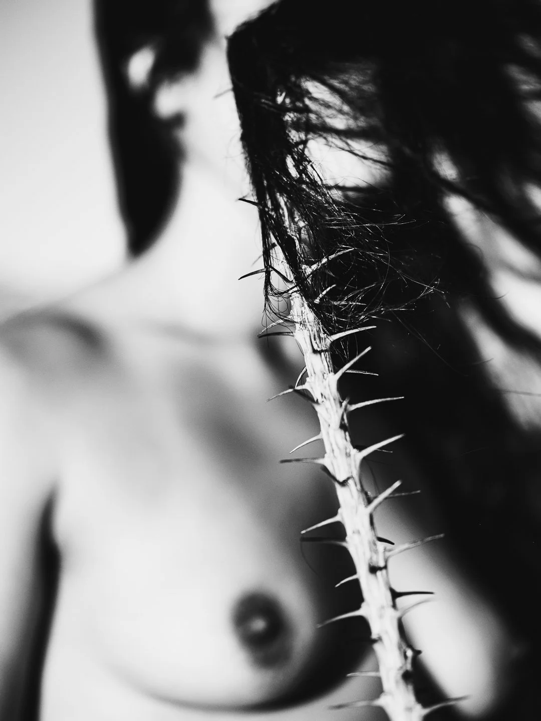 DSCF4733-3.jpg