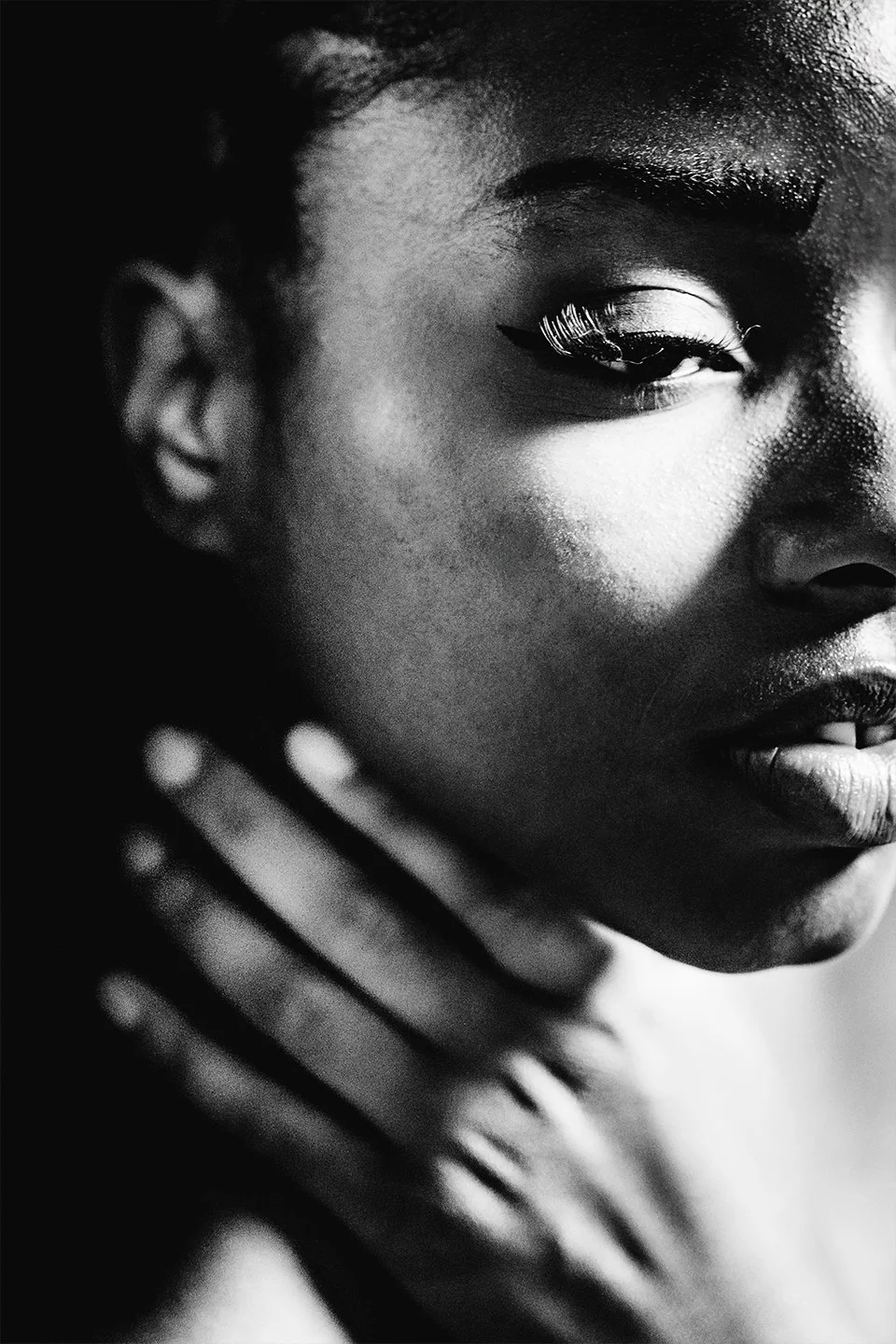 Divided-by-Light-2023.jpg